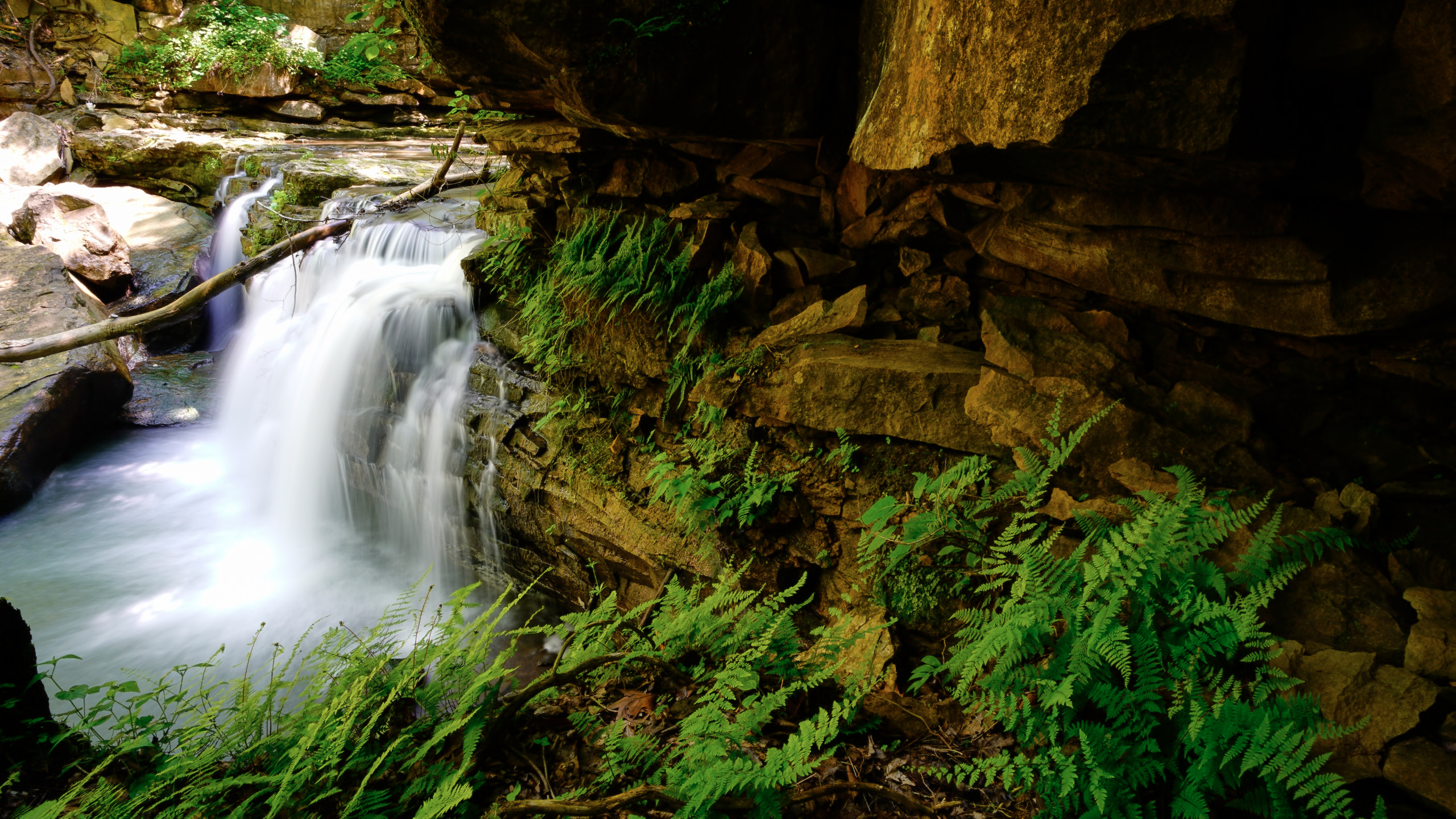 Waterfall in an Appalachian forest