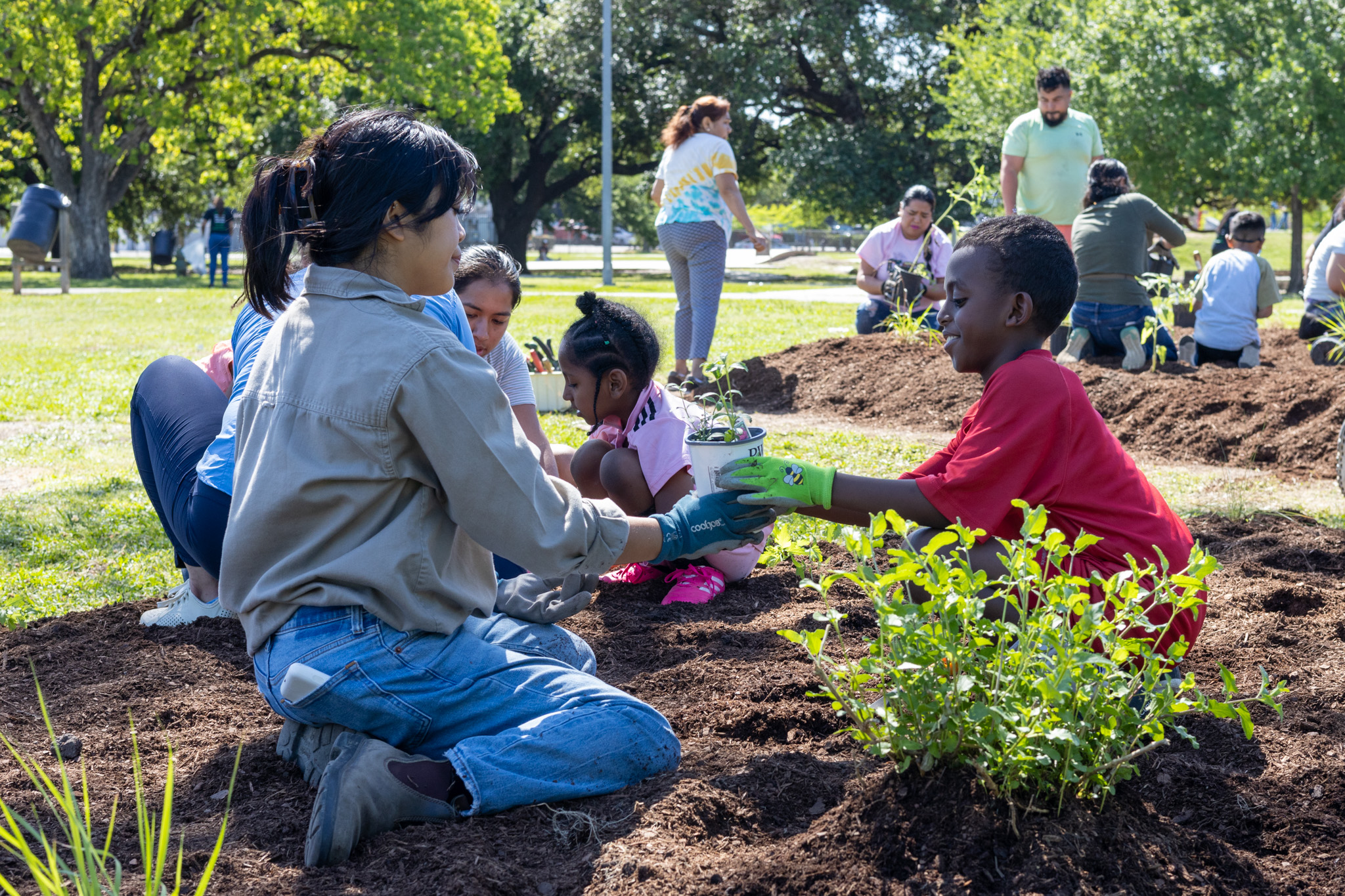 Adults and youths plant green plants in mounds of brown dirt in a park.