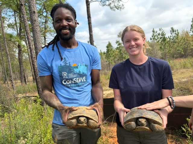 Two people standing in a forest pose holding tortoises.