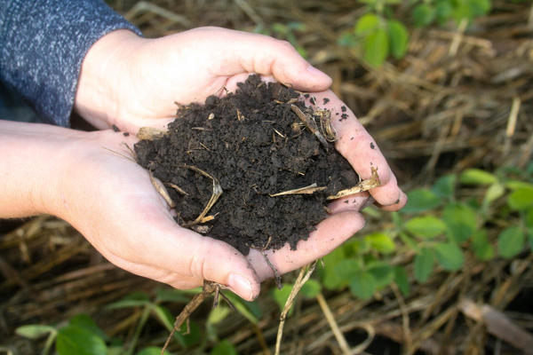 Tilling the soil can release carbon into the air and reduce its long-term fertility. 