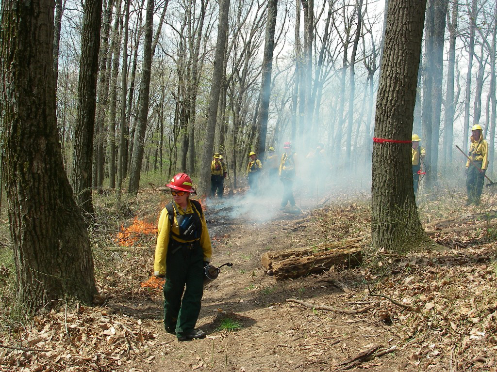 Prescribed fire crew walk along a trail at Hitz-Rhodehamel Woods.