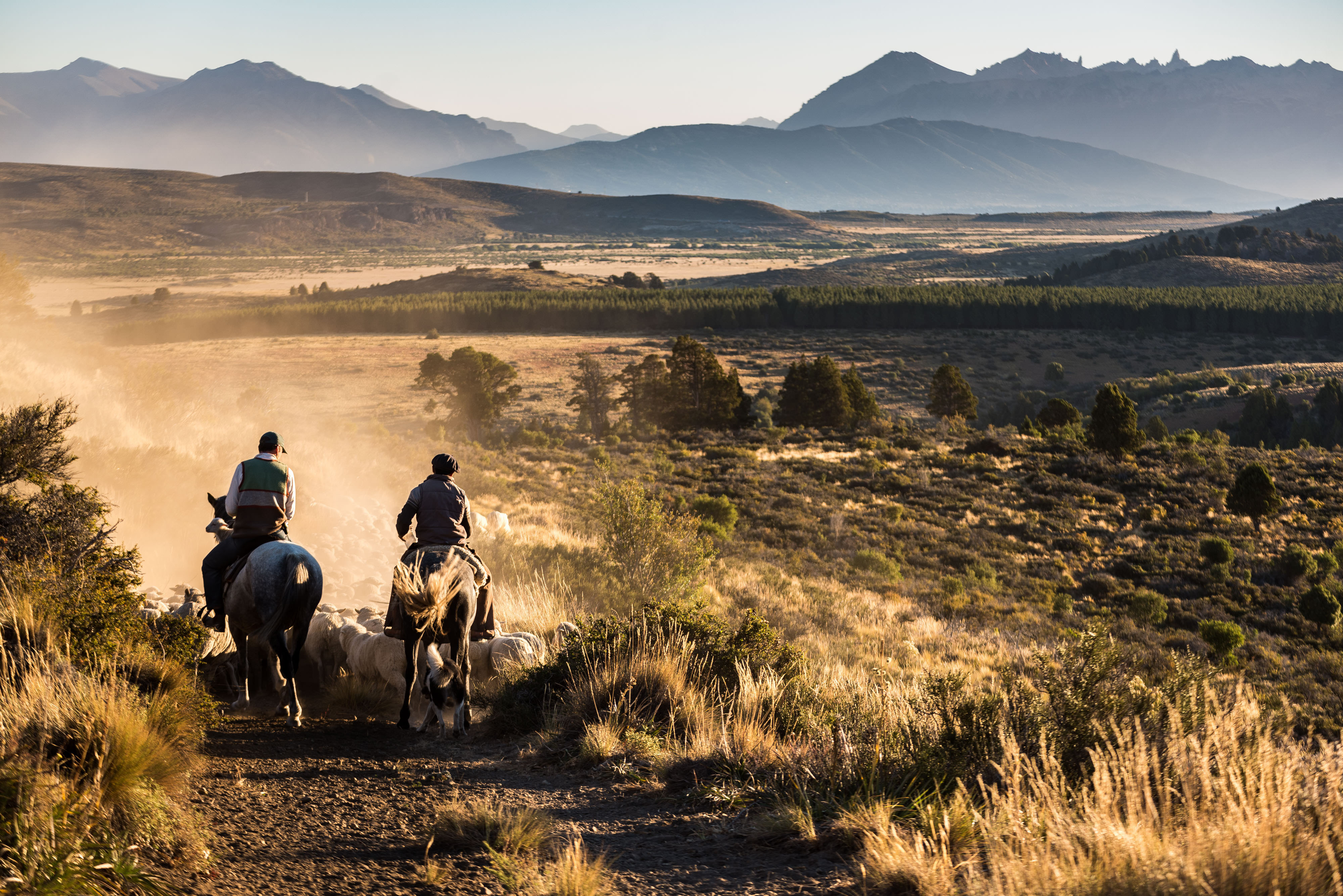 Dawn illuminates a view across an estancia and the Atla