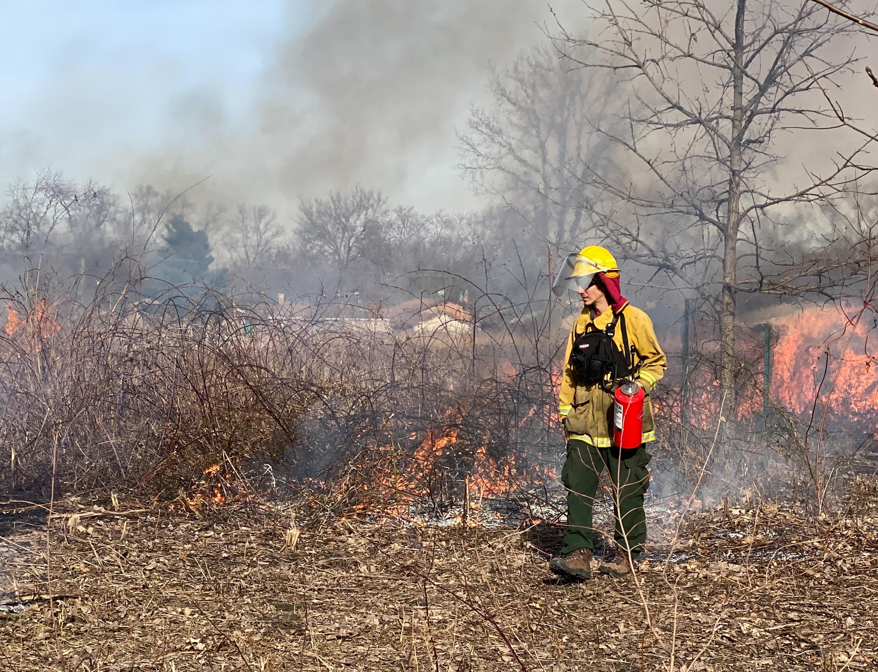 A prescribed burn in progress.