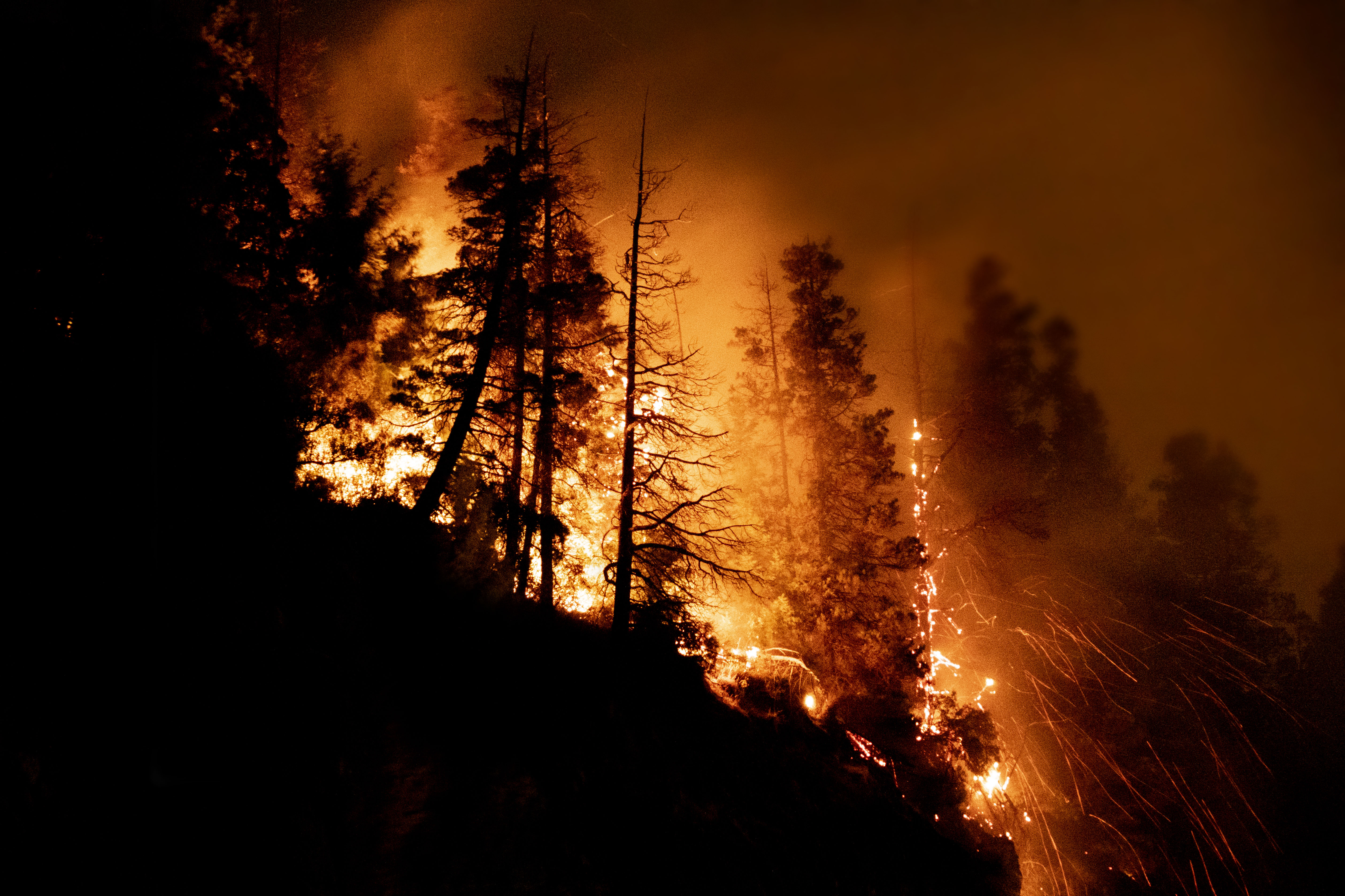Incendio en El Bolsón. 
