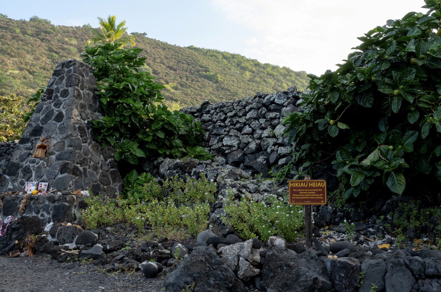 Breadfruit trees and coastal ground cover grow around a constructed rock platform, with altar and offerings on the left.