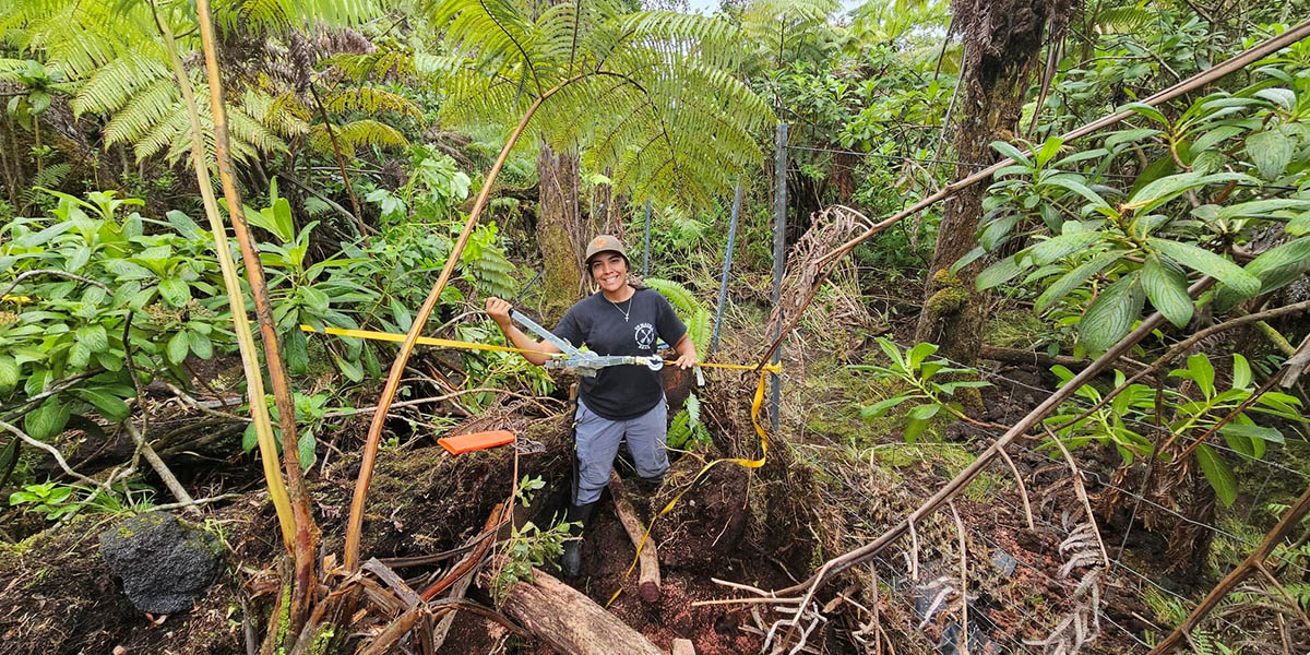 Field Coordinator repairing fences on TNC’s Kaʻū Preserve