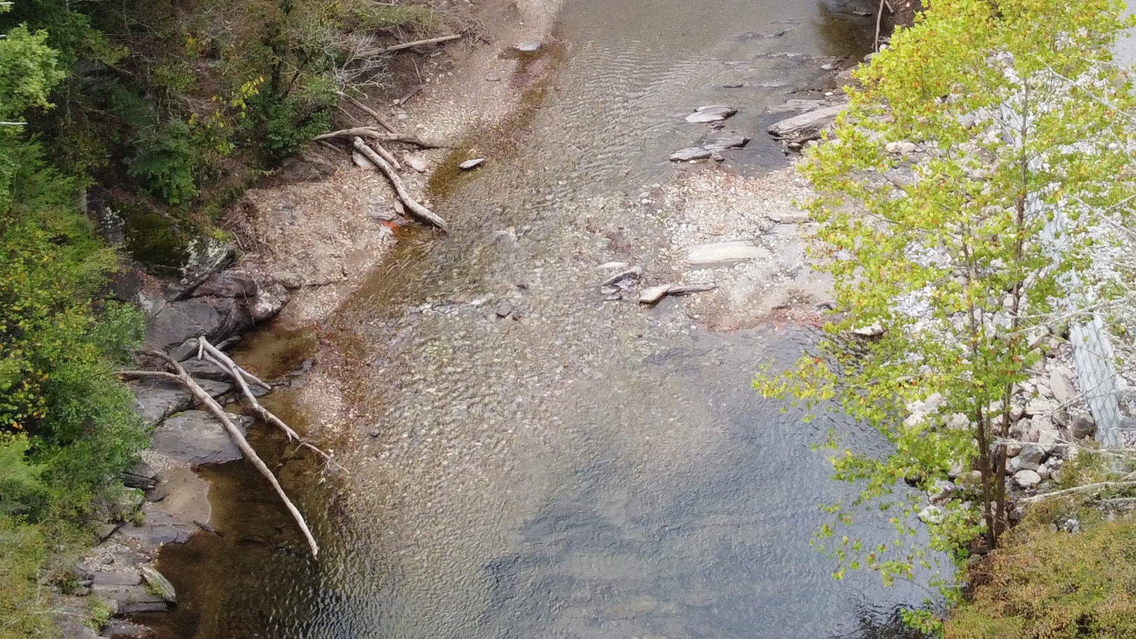 Aerial view of the same river as shown in the previous image with its dam removed.