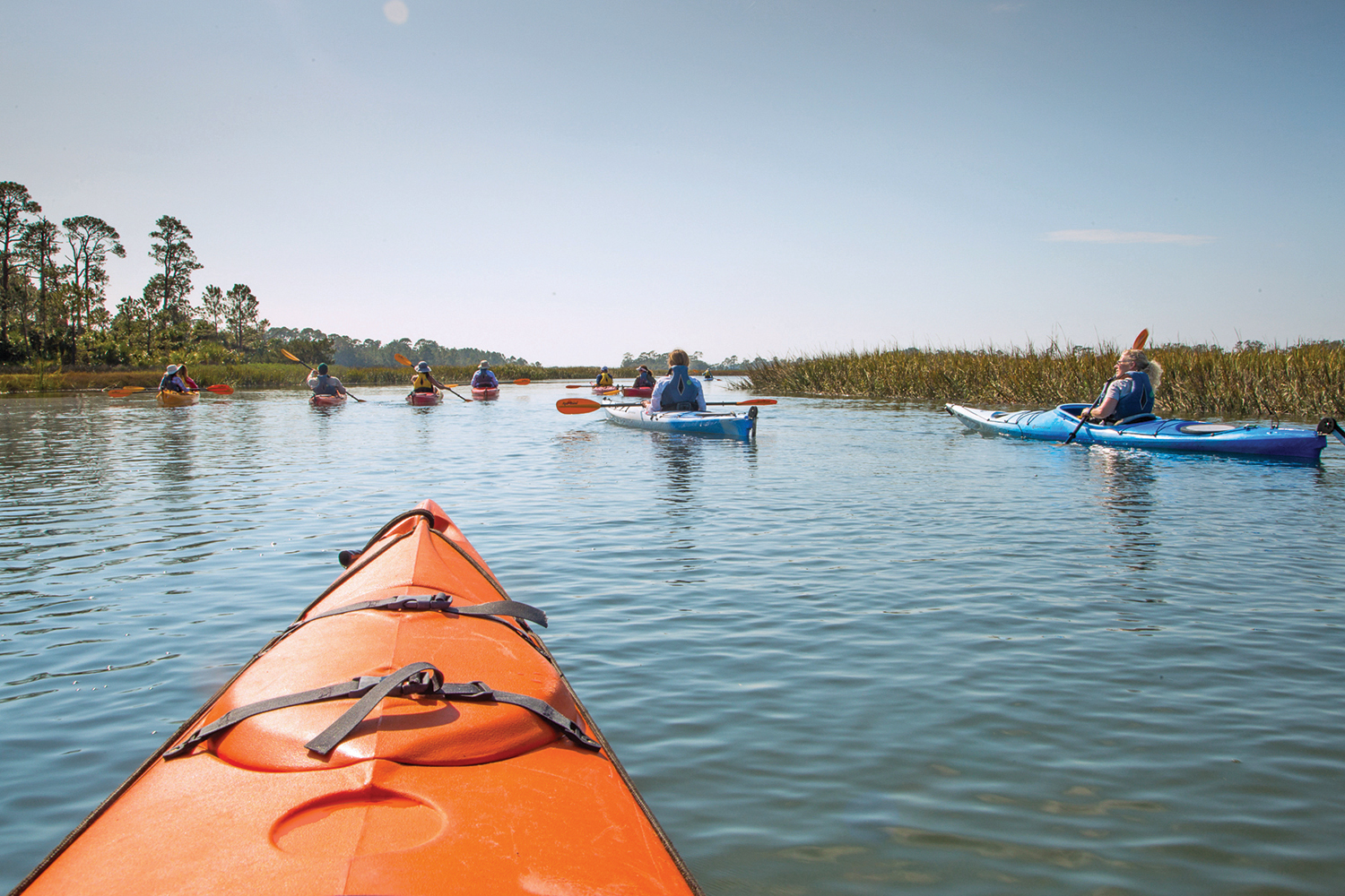 A view for the bow of a kayak of nine other kayakers navigating through still waters and marshy grasses.