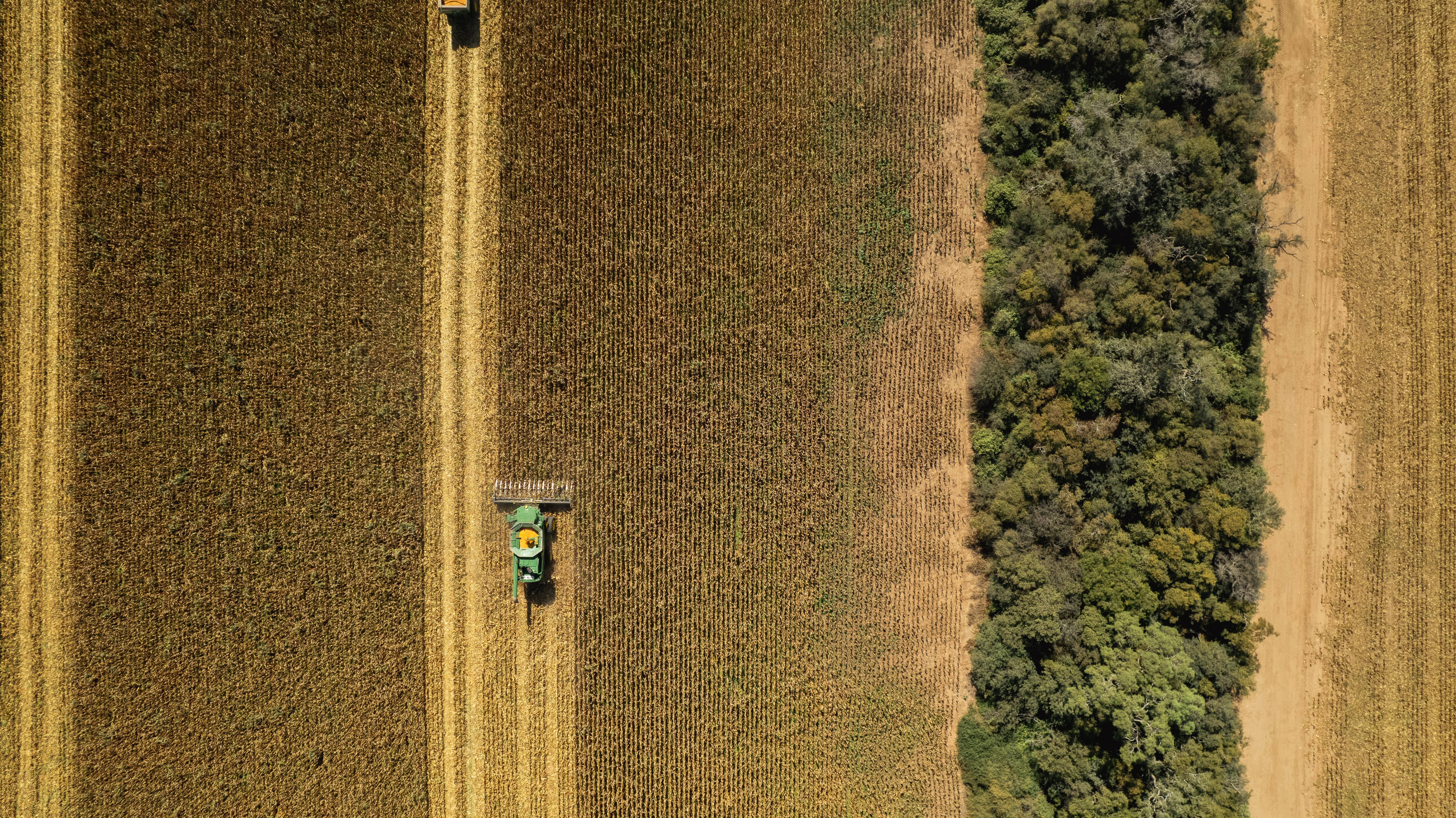 Imagen aérea del Gran Chaco, Argentina, que muestra siembra directa.