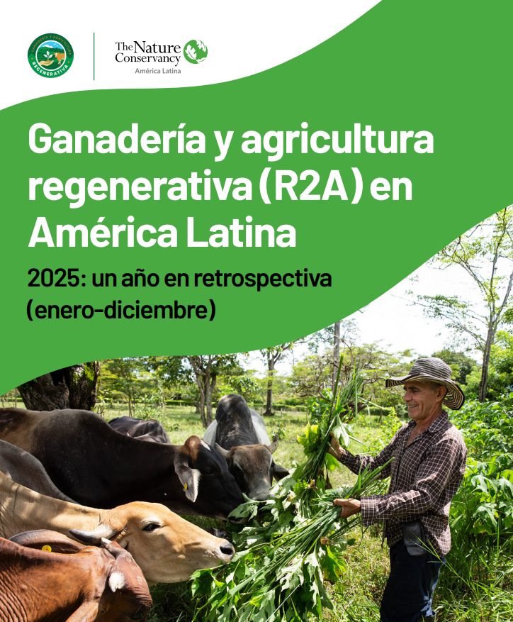 Representación visual de las prácticas de agricultura regenerativa en América Latina, destacando las técnicas agrícolas sostenibles.