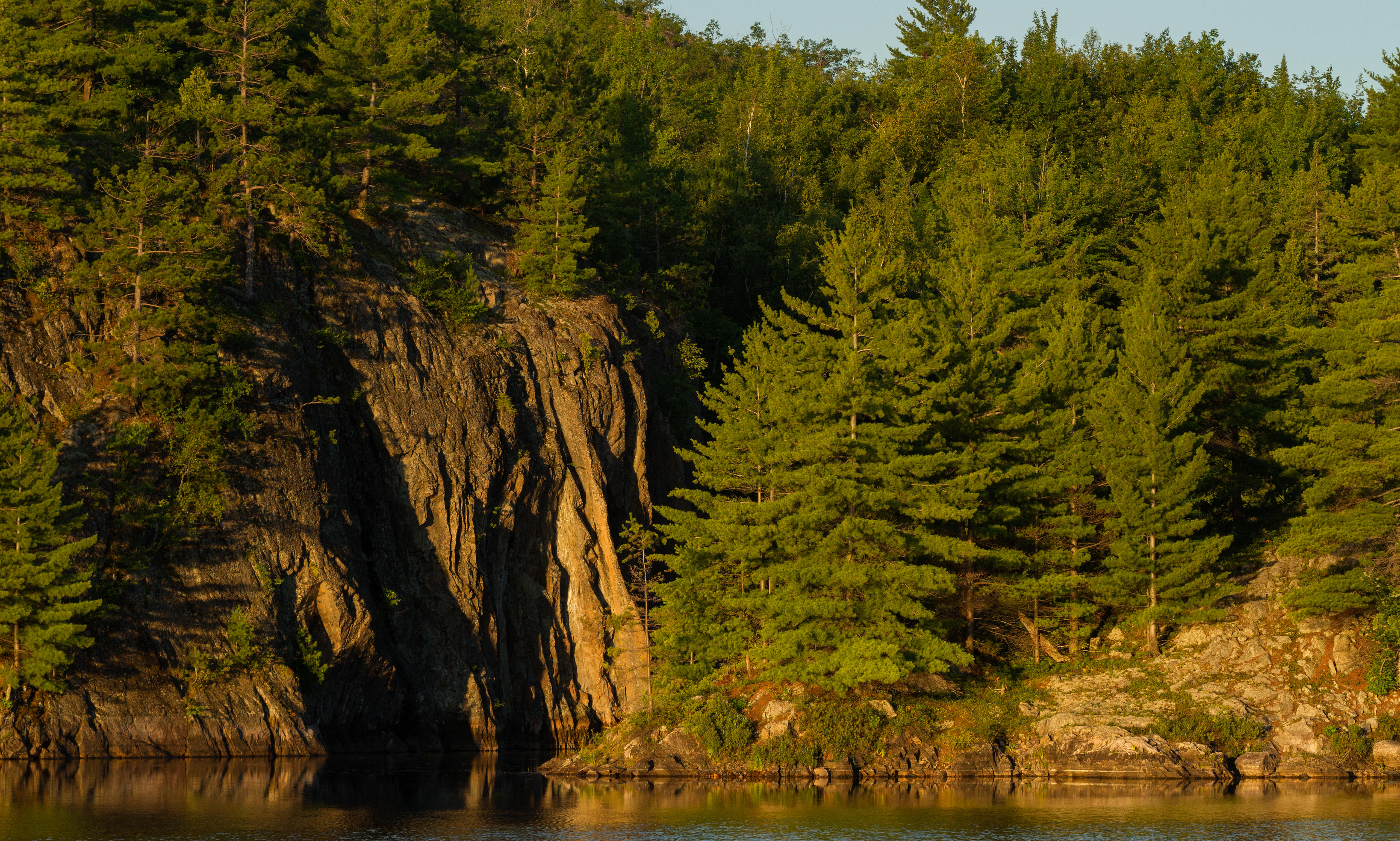 Dramatic cliffs covered in a dense forest. 