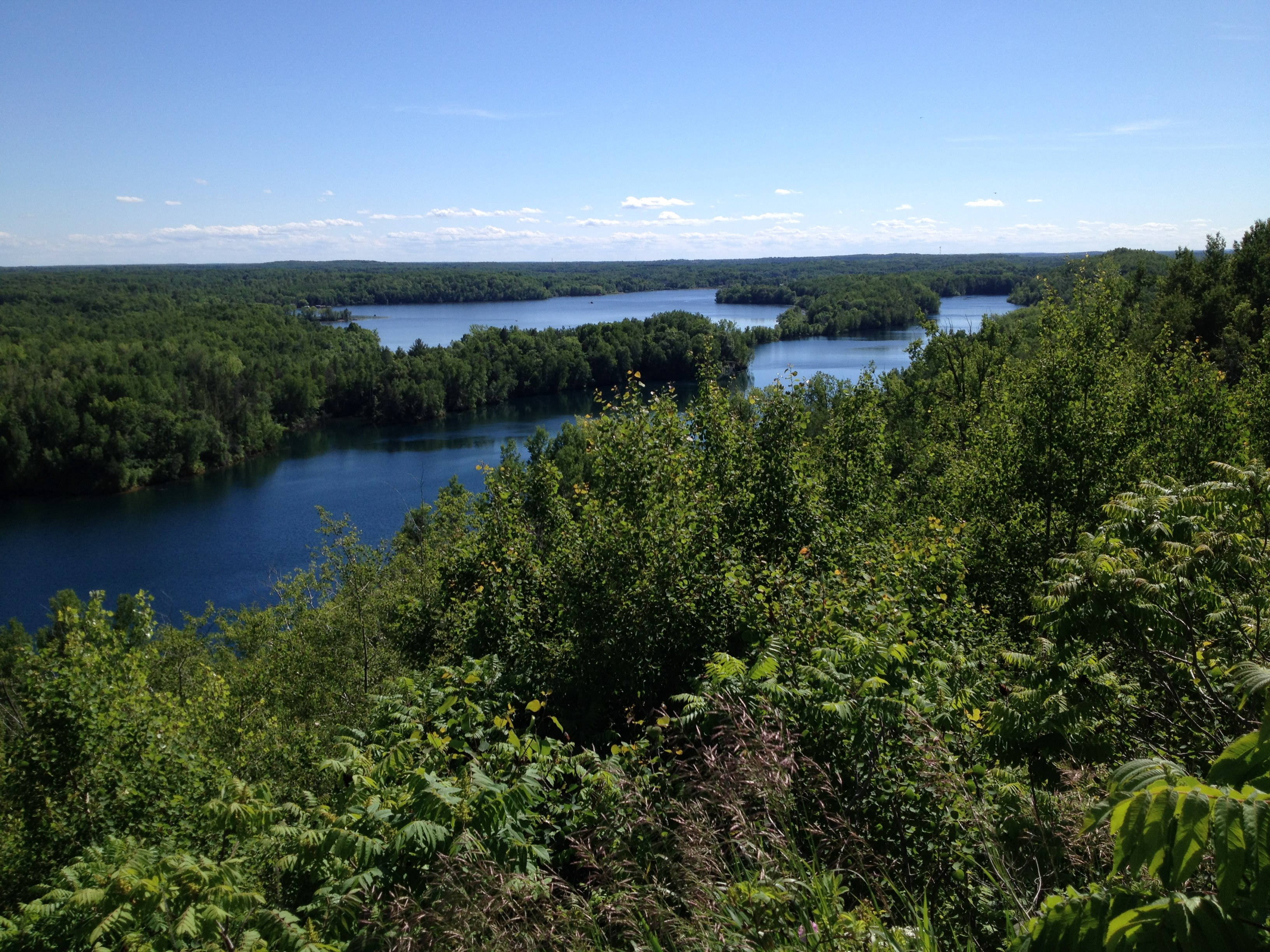 Elevated view of a lake surrounded by dense forest in summer.