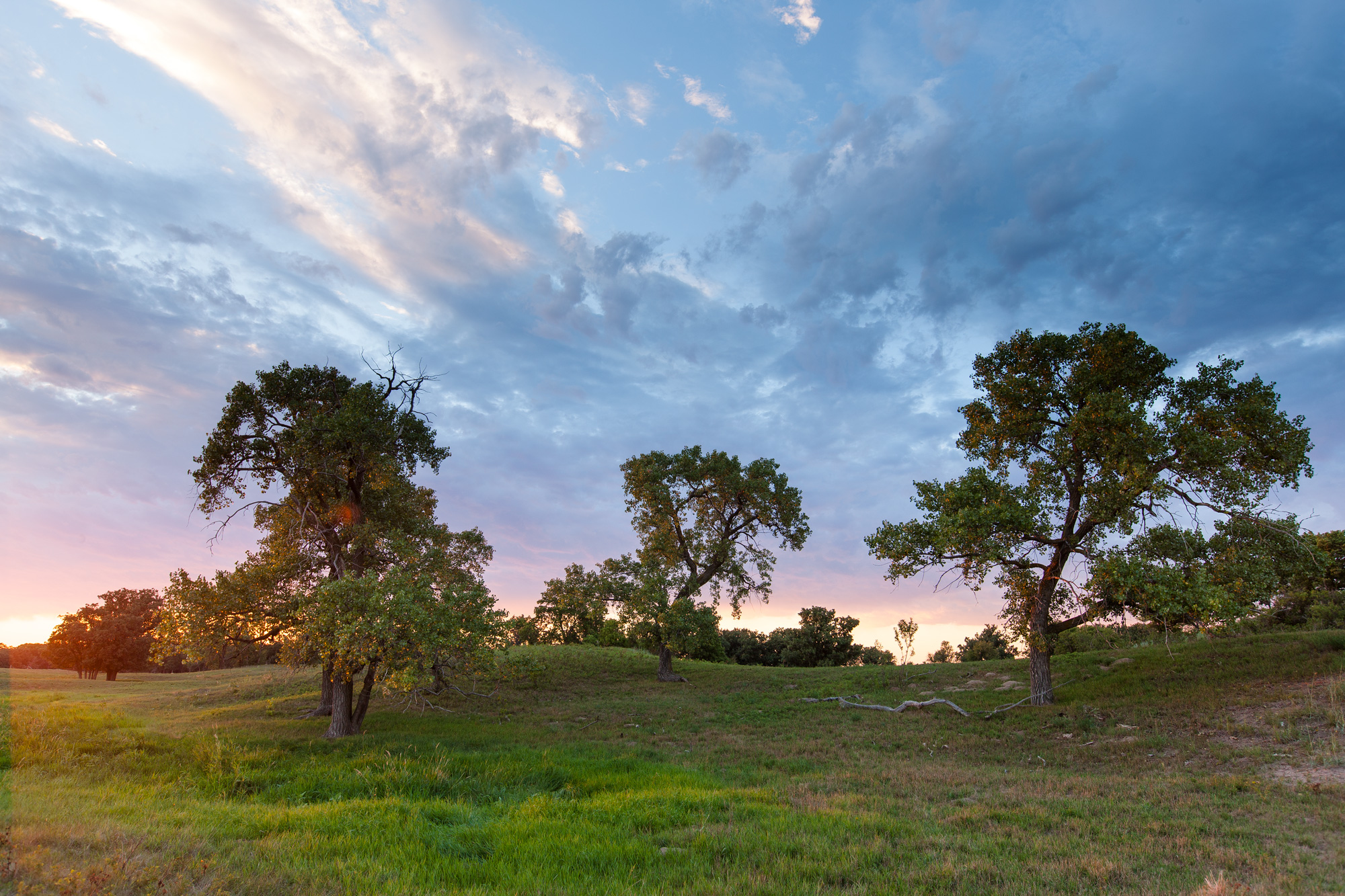Brown Ranch landscape view.
