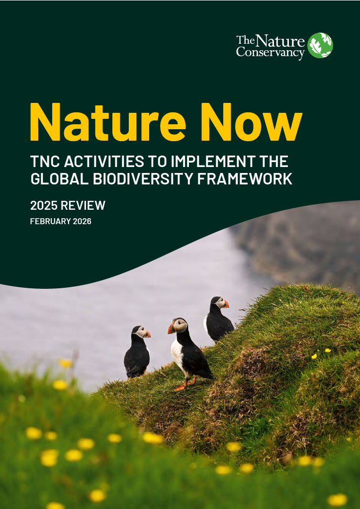 Cover image for Nature Now 2025 Report.