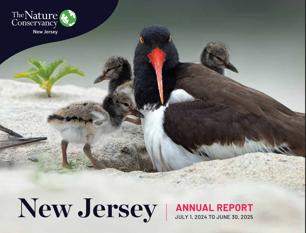 Cover of NJ Annual report