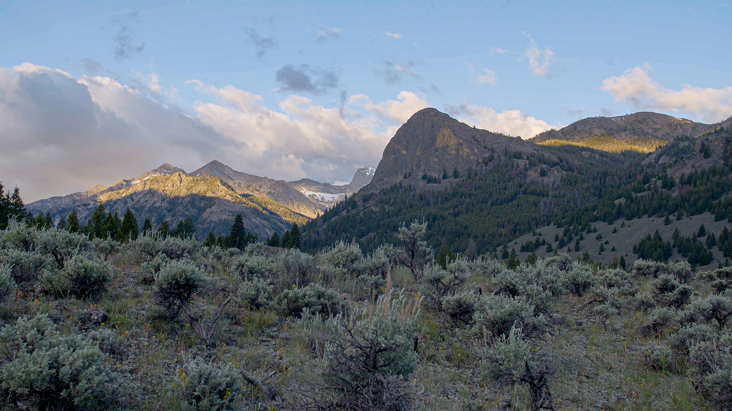 Mountains in distance covered with scrubby plants and some evergreen trees with sagebrush in the foreground.