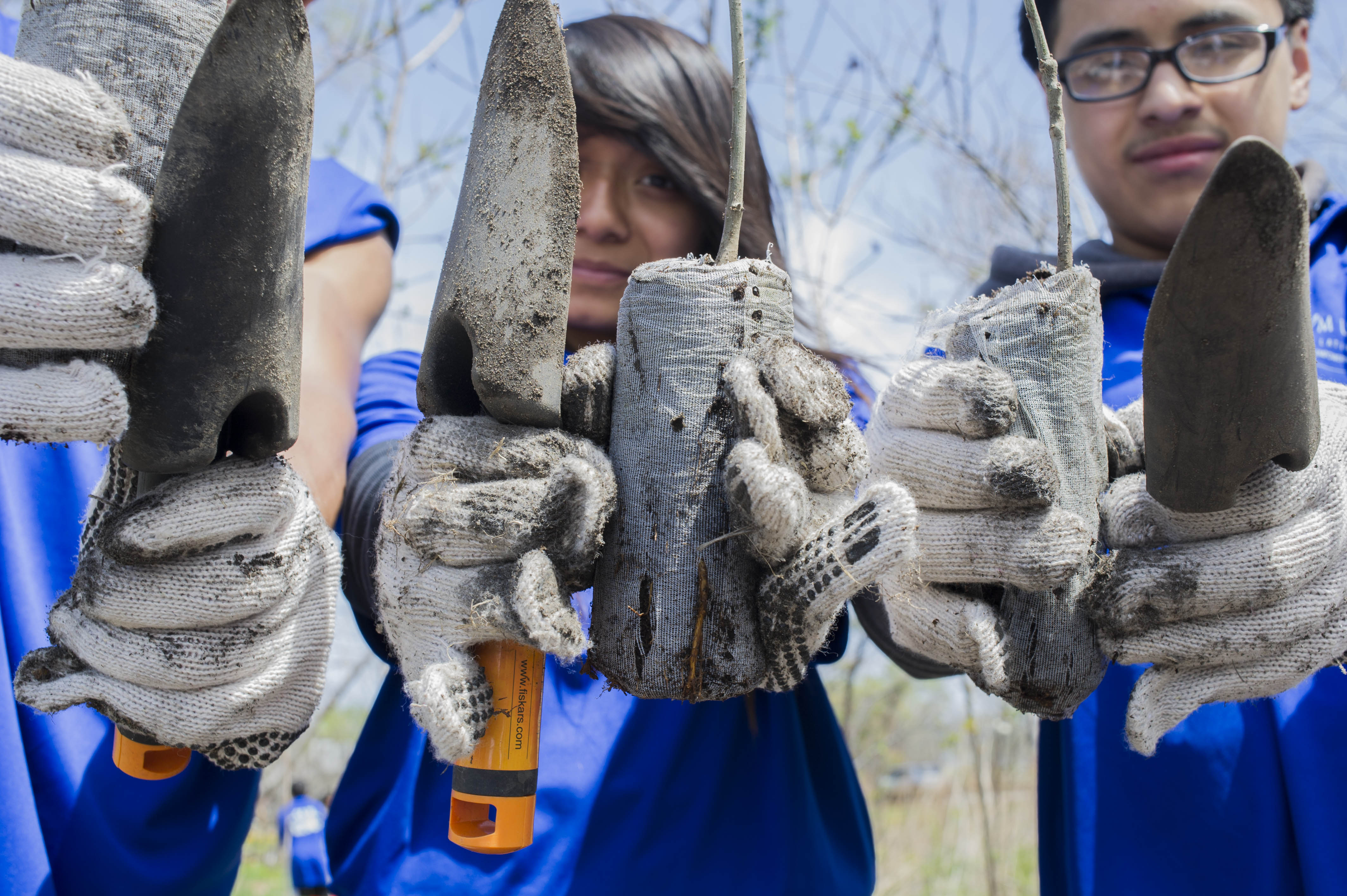 Volunteers holding out tree planting tools.