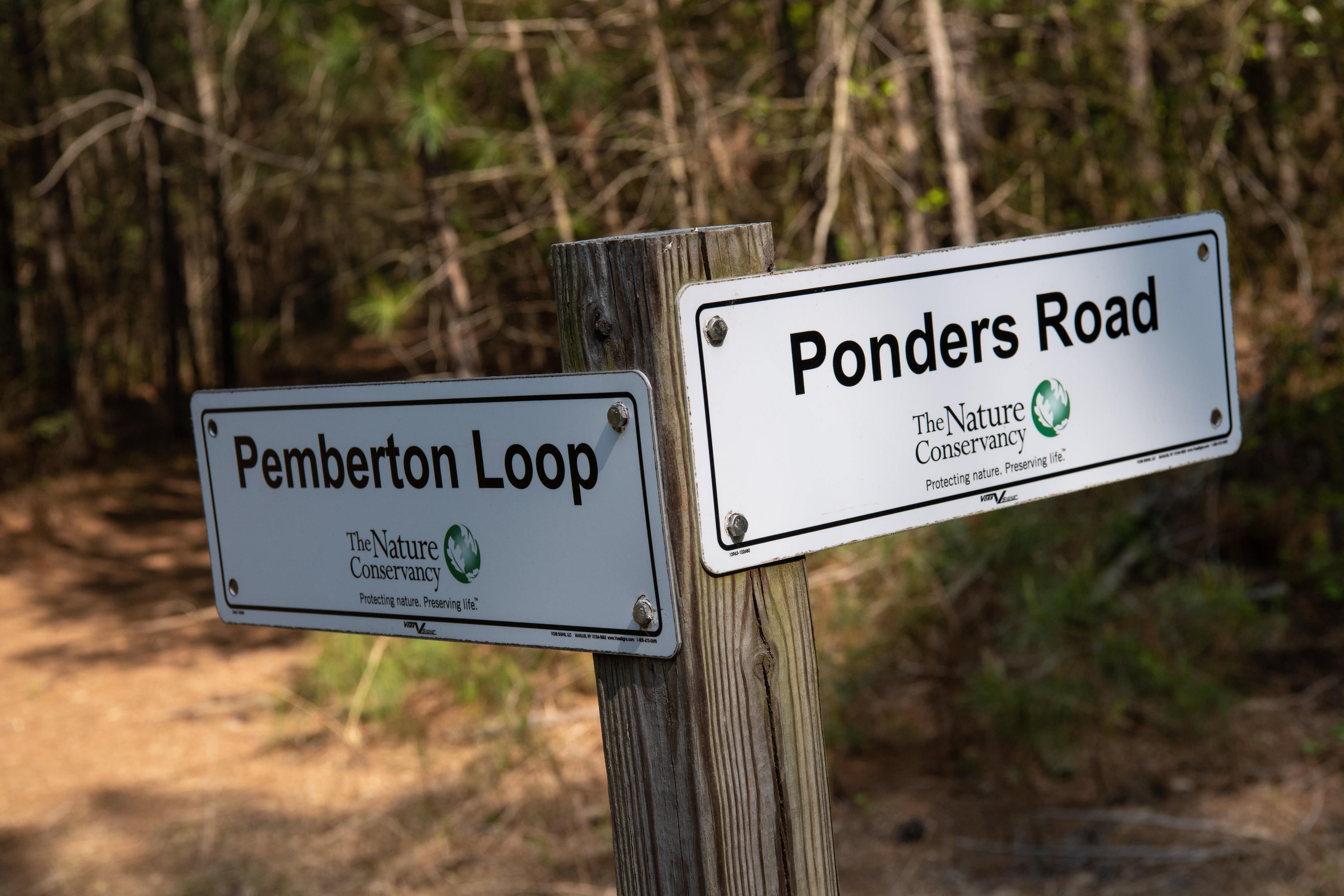 Two signs mark the way for trails at Ponders Tract Preserve. The sign pointing to the left reads, Pemberton Loop. The sign on the right reads Ponders Road. 