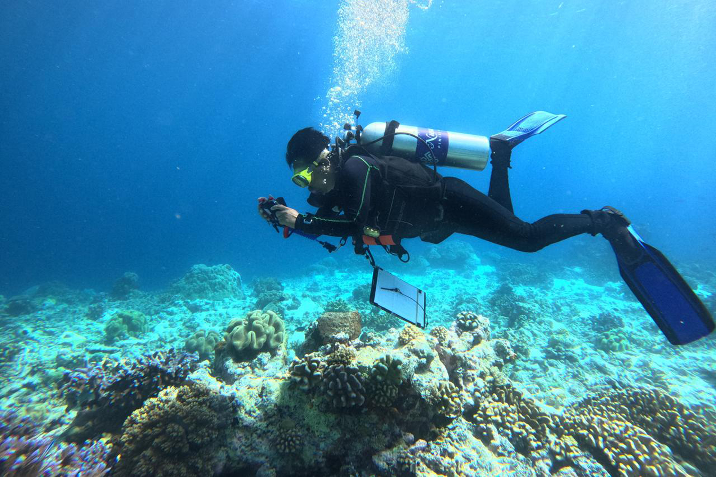 A diver monitoring reefs underwater.
