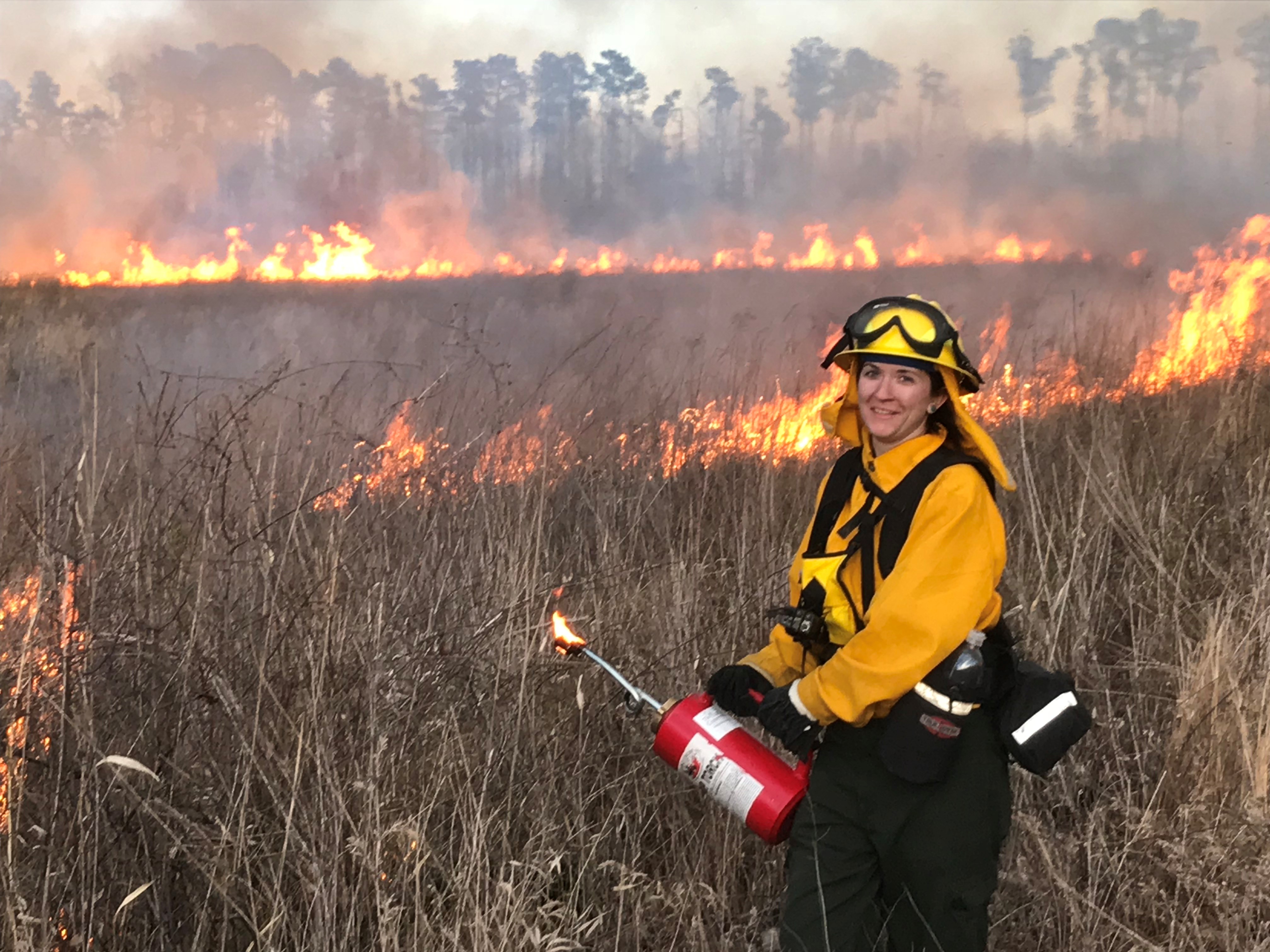 A woman wearing yellow fire retardant gear holds a red drip torch at a controlled burn. Lines of fire burn behind her in a stand of tall grass.