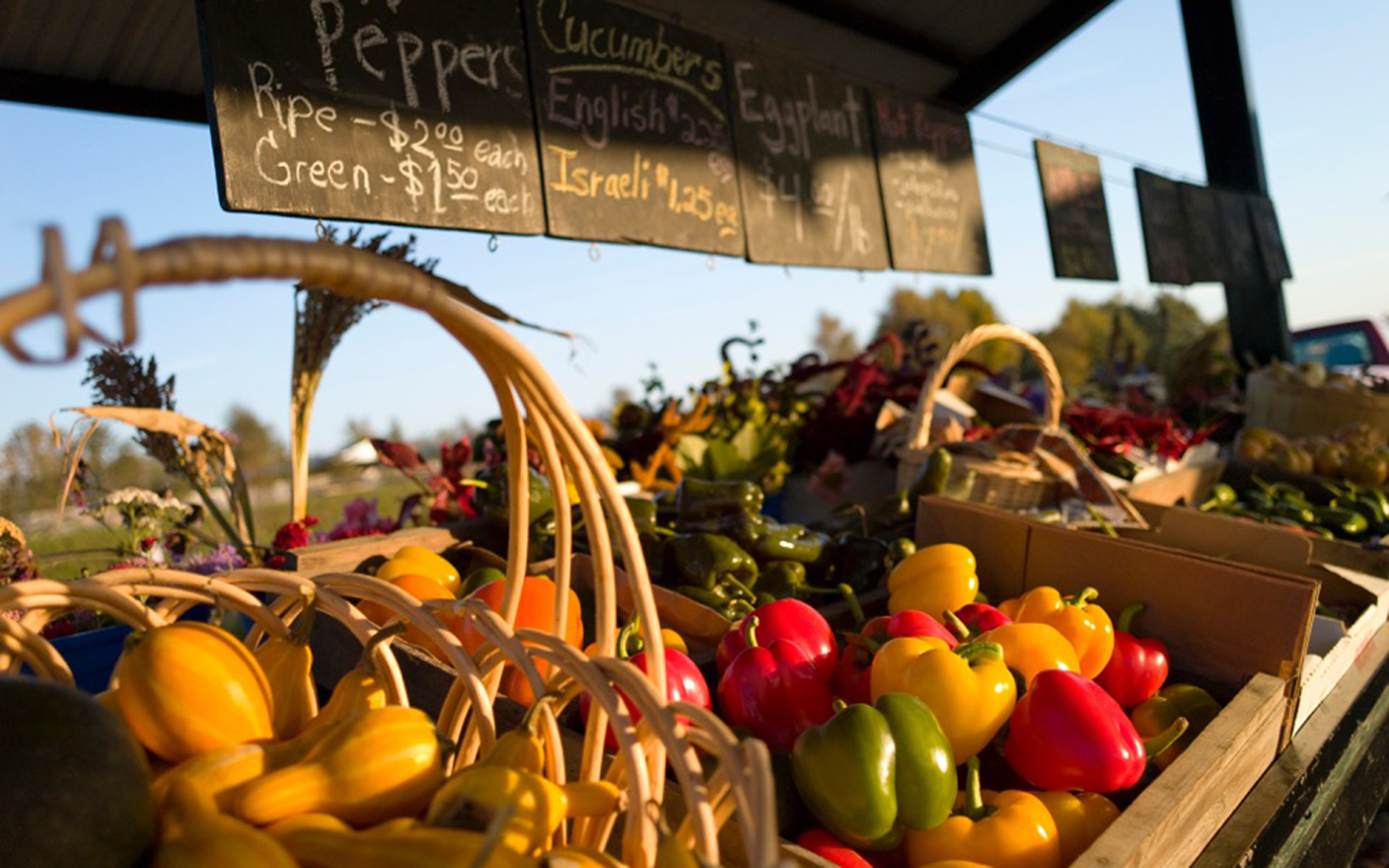 Display of fresh produce