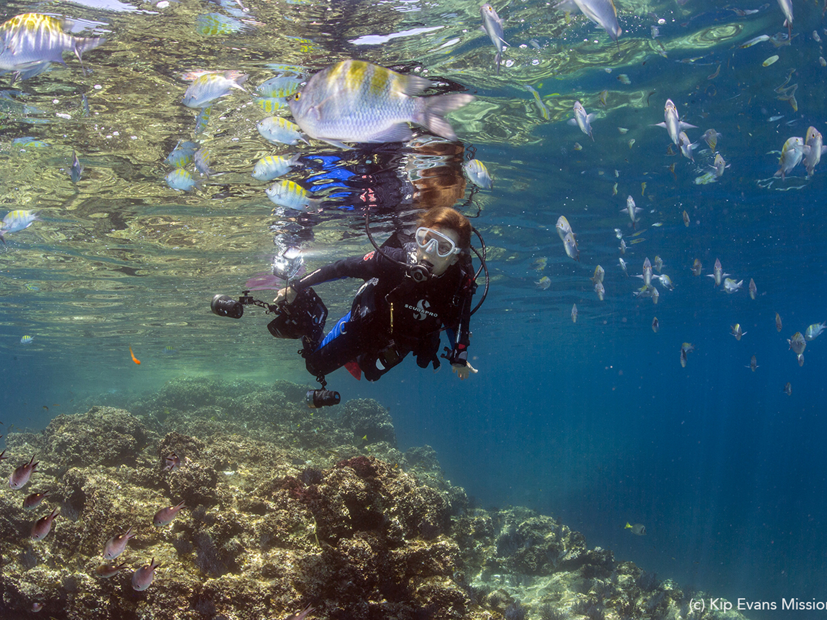 A woman in diving suit and mask holds a camera as she swims over coral reef. 