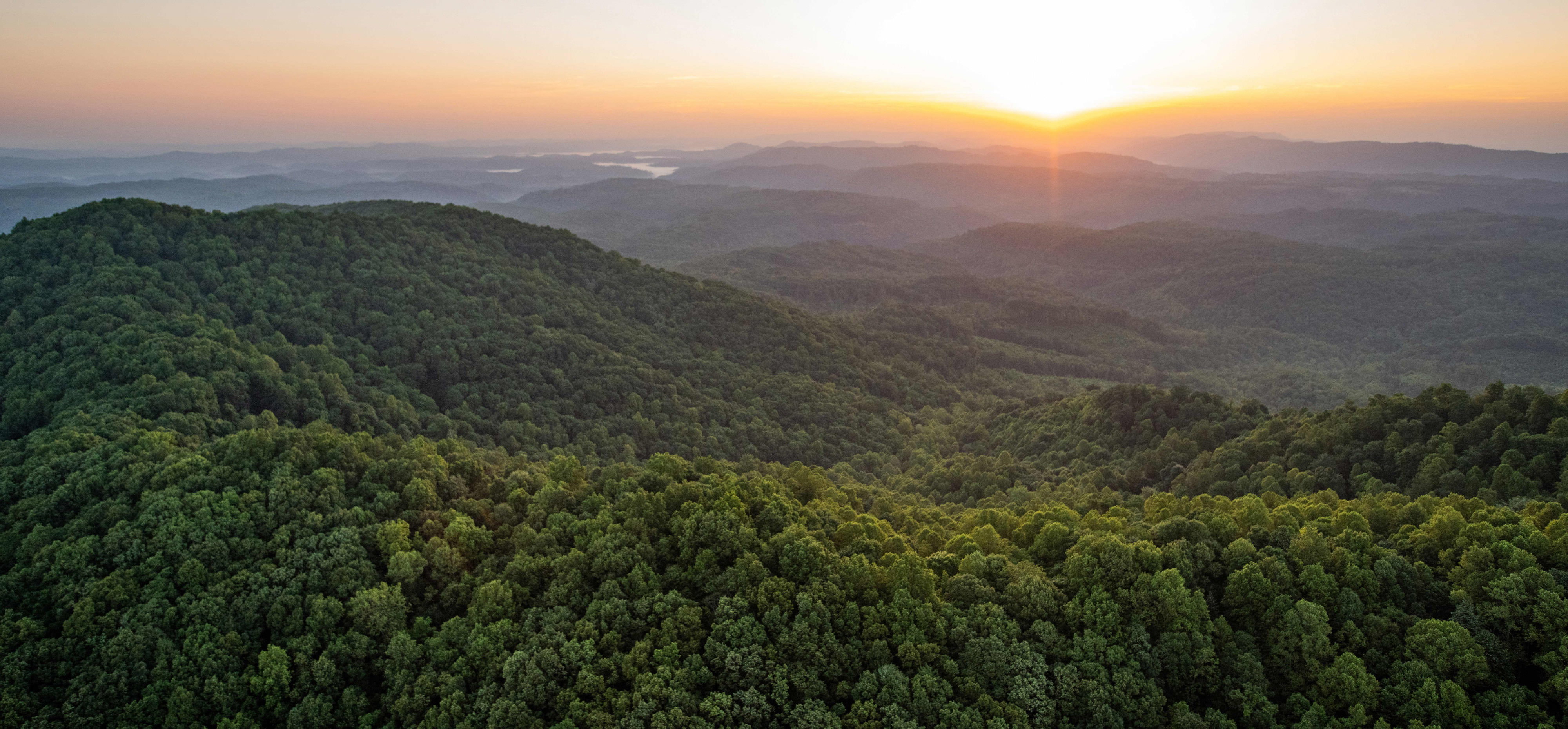 Aerial view of a sunset over a green forest.