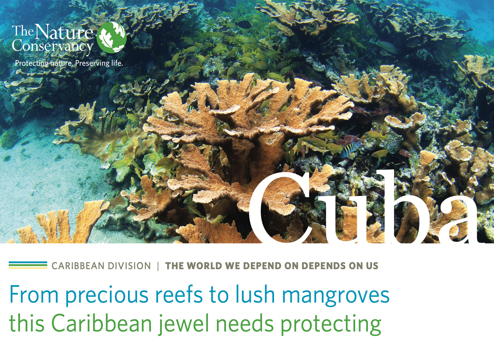 Thumbnail of the cover of Cuba's Factsheet. 