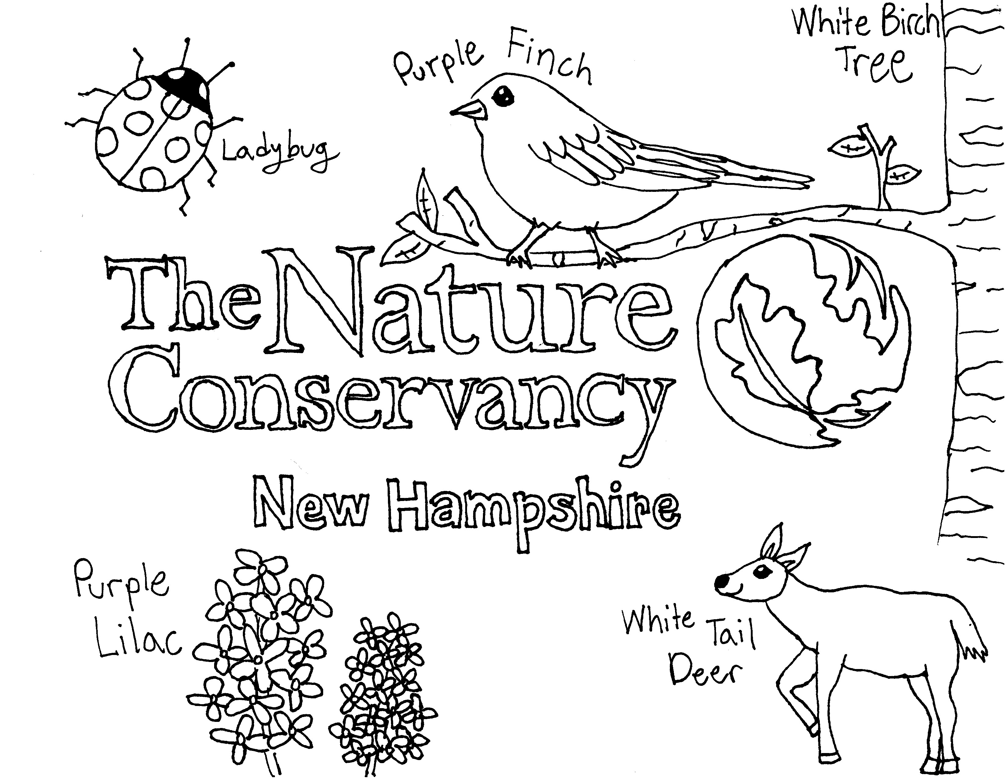 Hand-drawn image of The Nature Conservancy logo, a lady bug, purple finch, white-tailed deer, white birch tree and purple lilac.