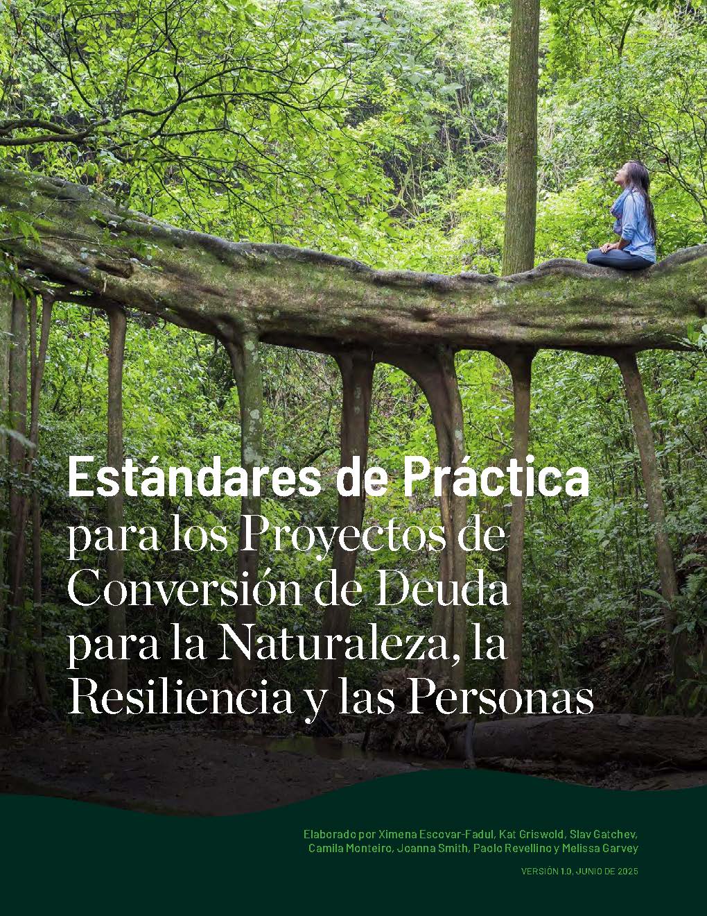 Cover of the Practice Standards document.