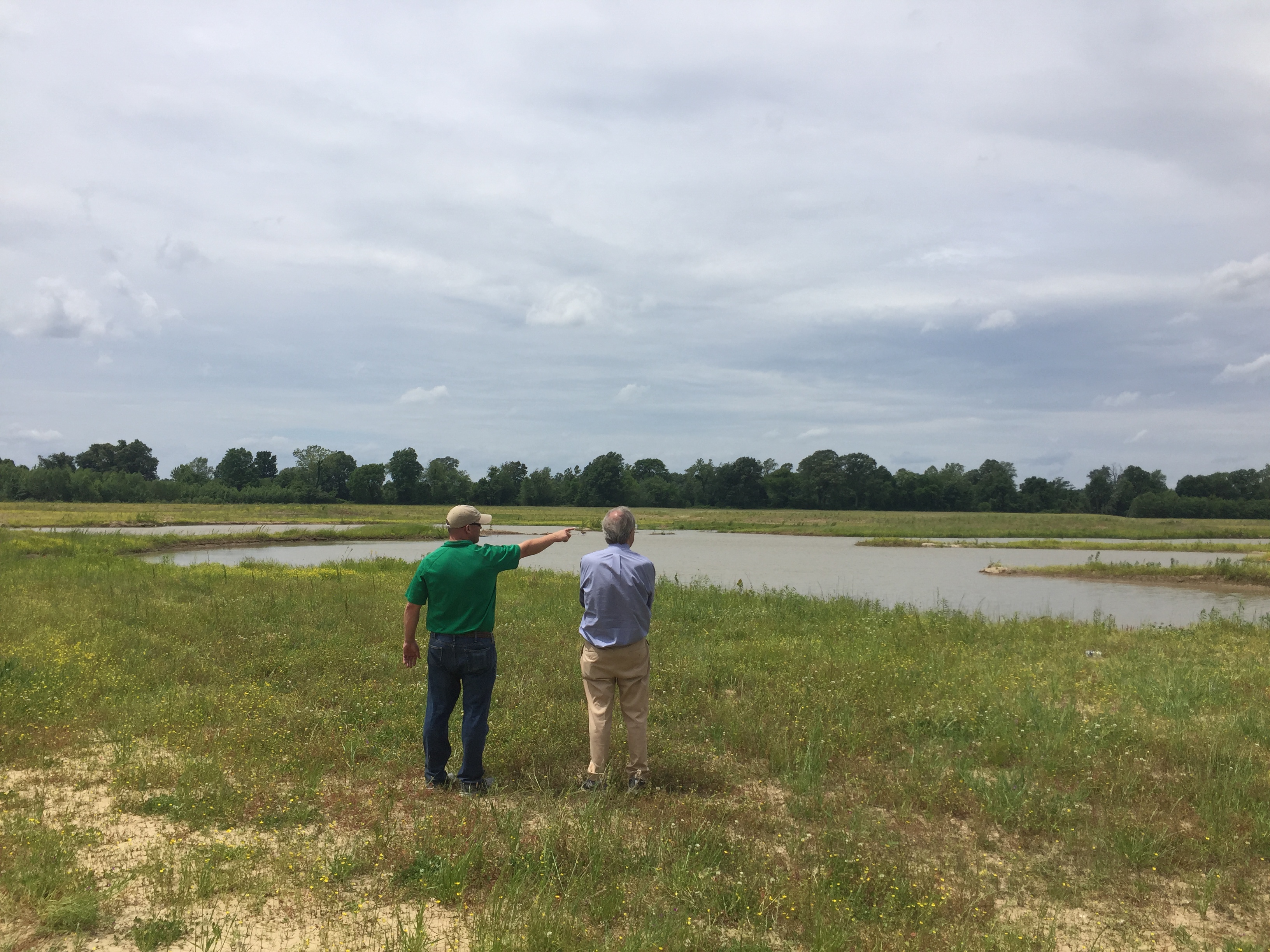 Staff members pointing at a wetland.