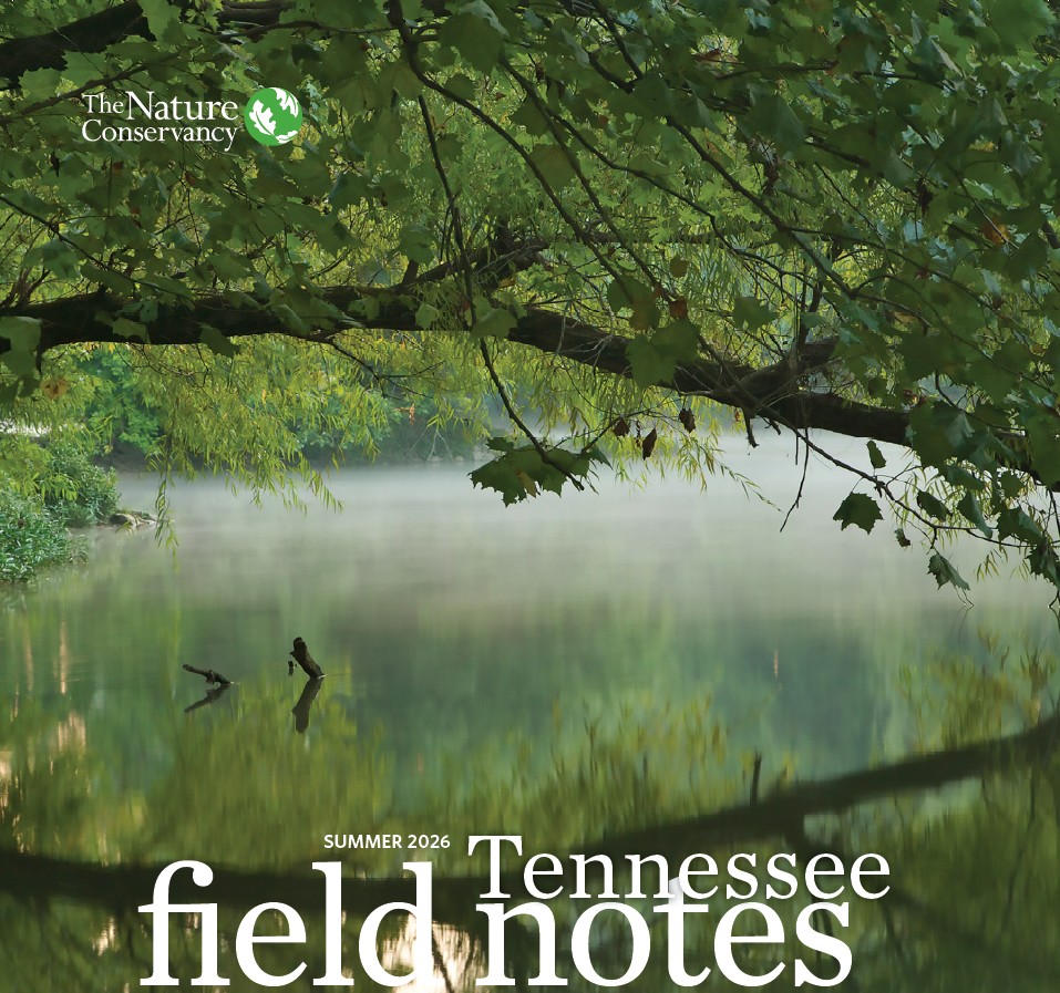 Summer field notes cover. 