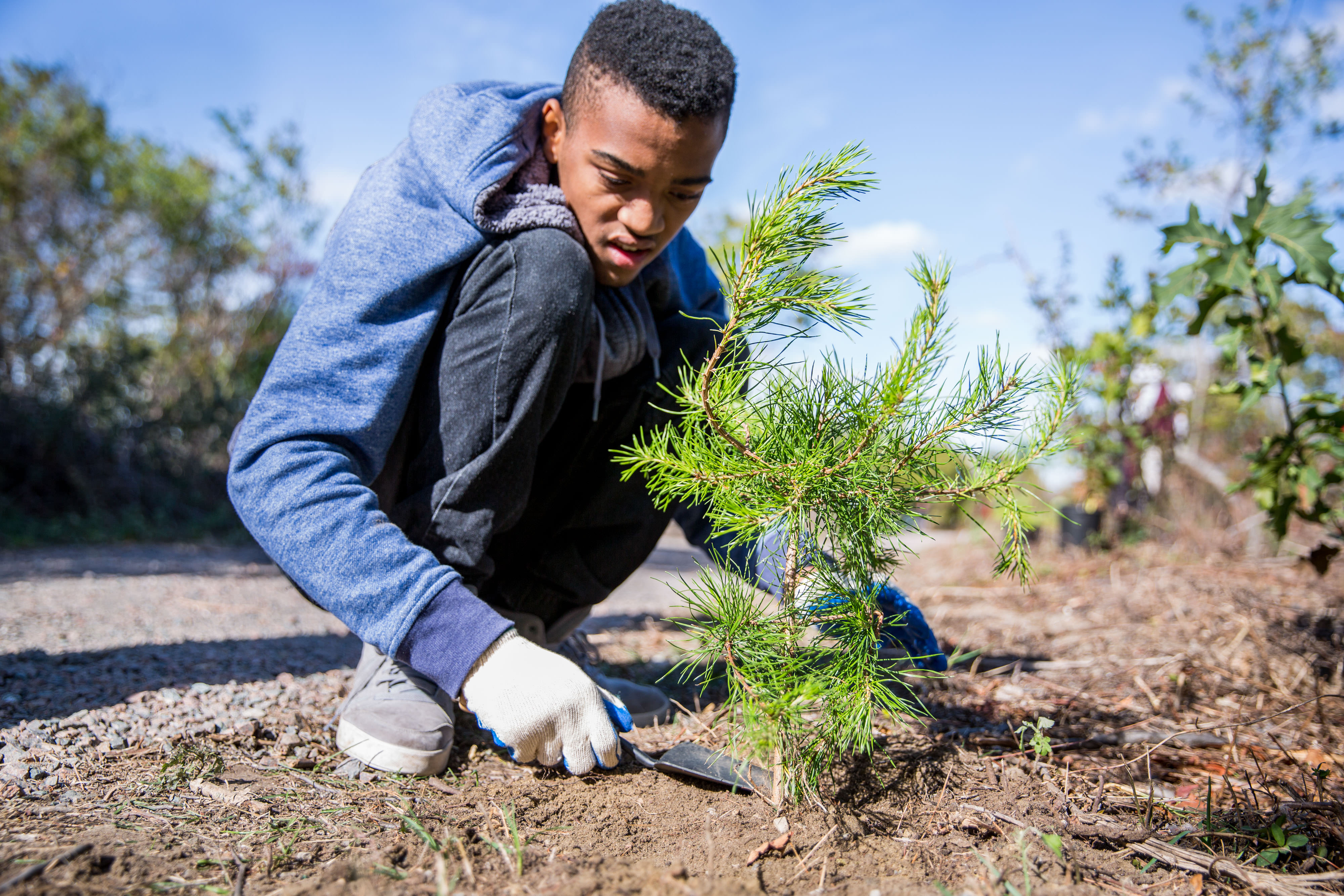 A young person planting a tree.