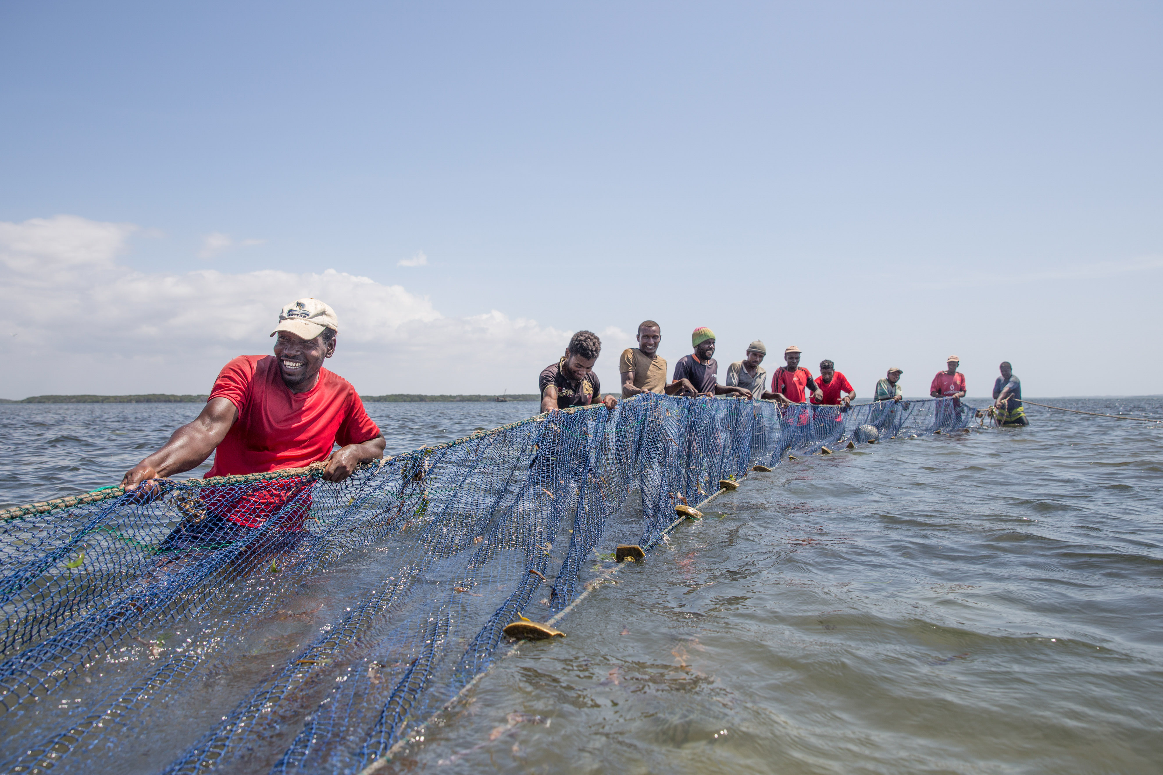 A line of men stand waist-deep in water and pull on a large fishing net.