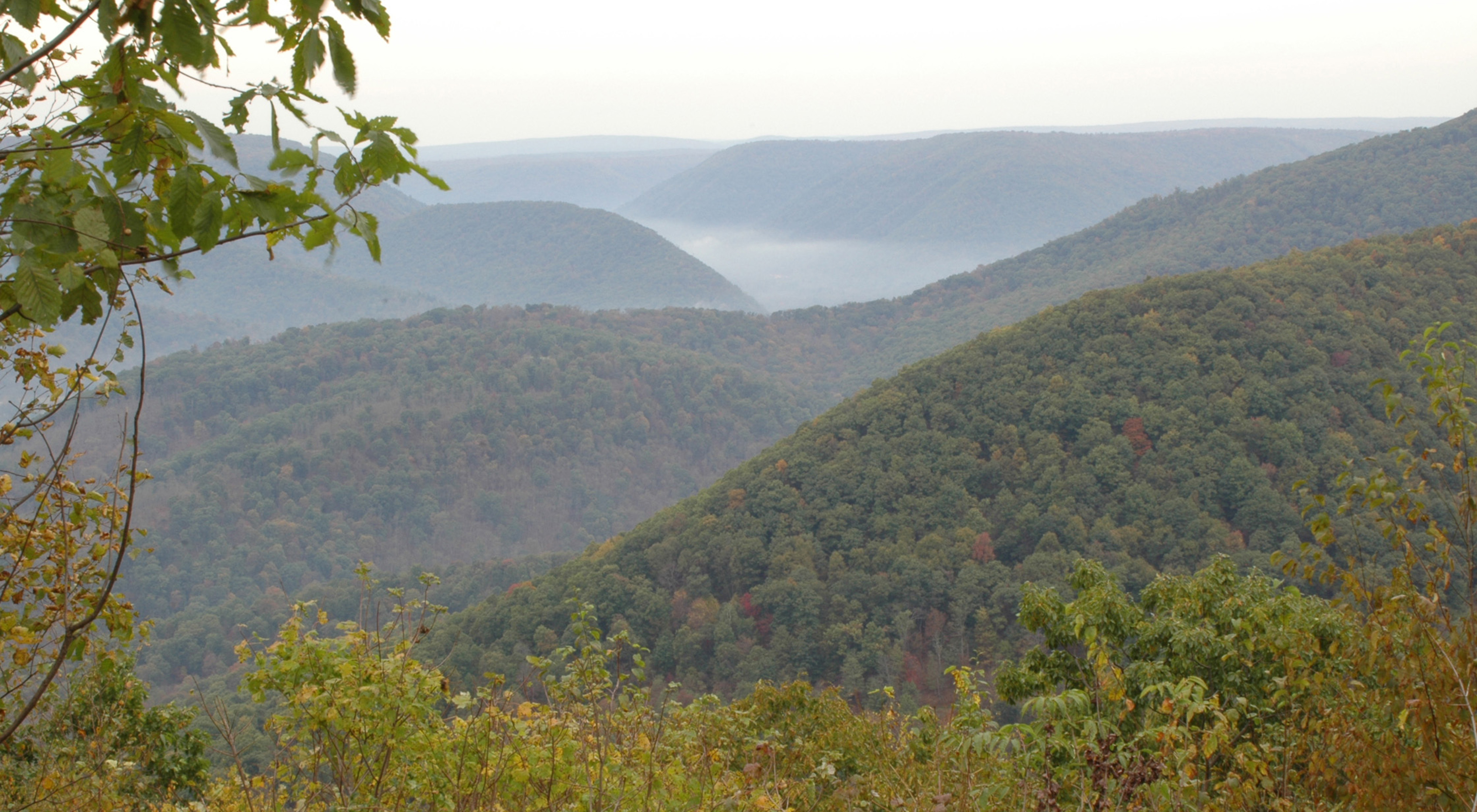 A view of mountain tops stretching across the horizon covered in green and orange trees.