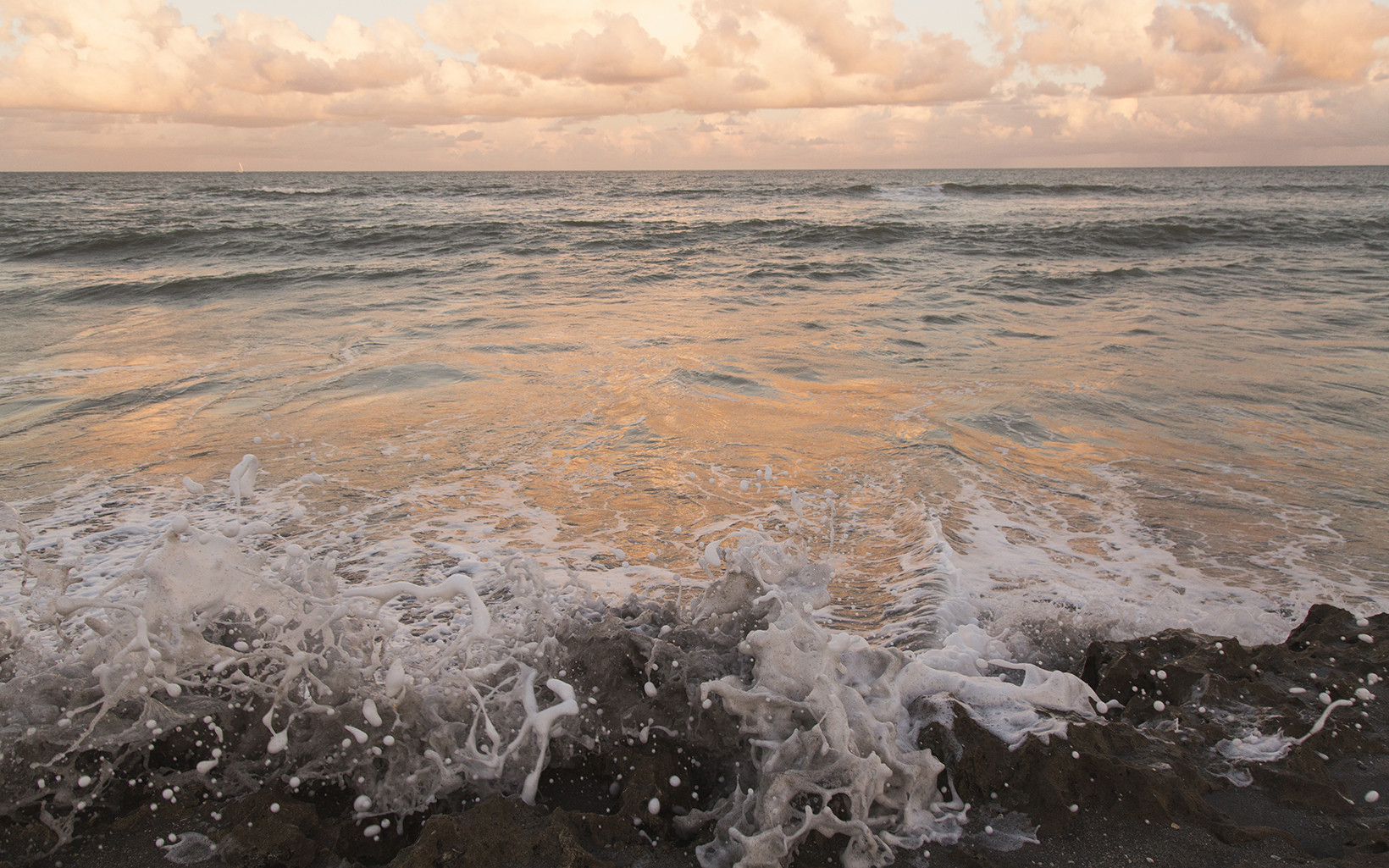 Florida Coast