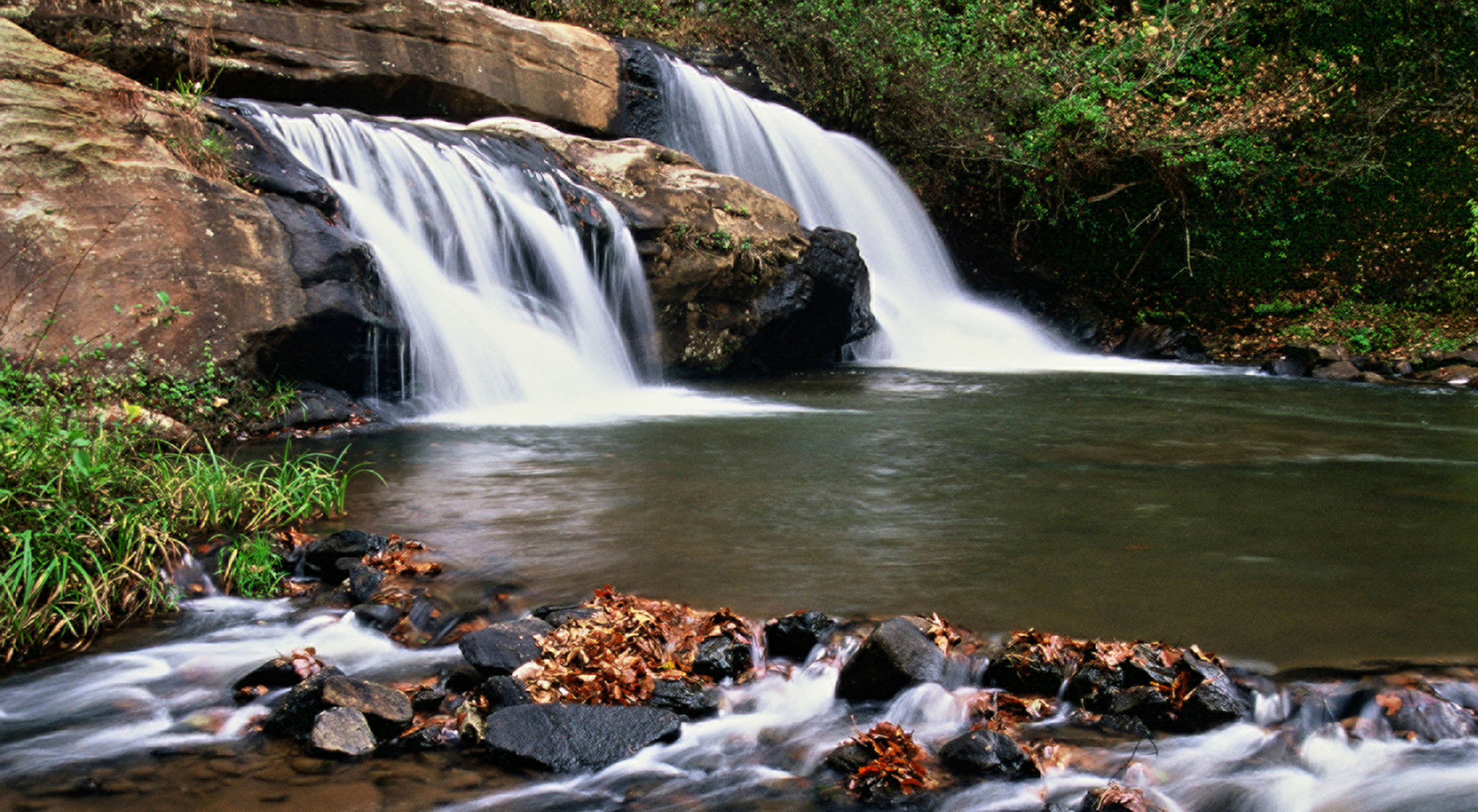 /content/dam/tnc/nature/en/photos/tnc_78880508_4000x220