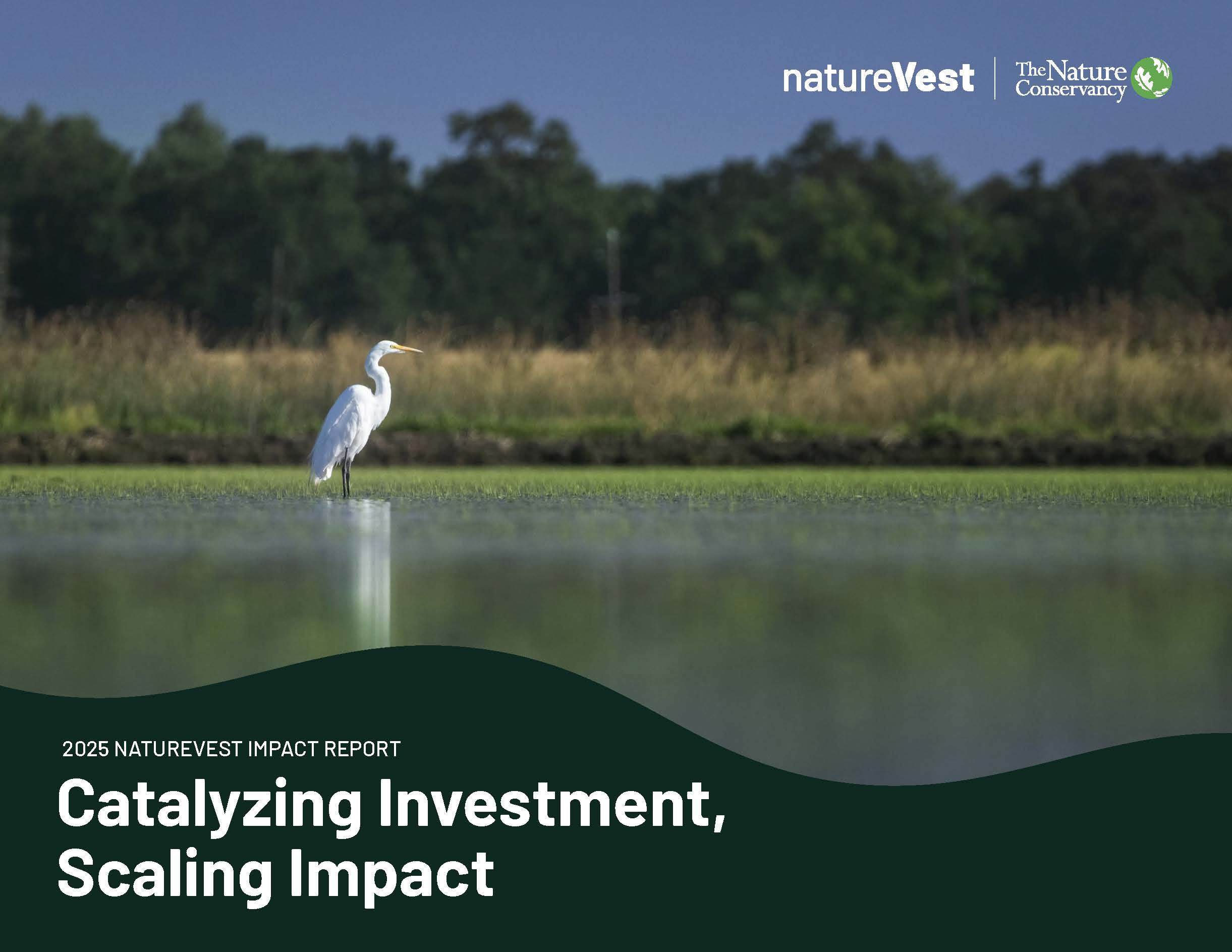 NatureVest Impact Report 2025 Cover