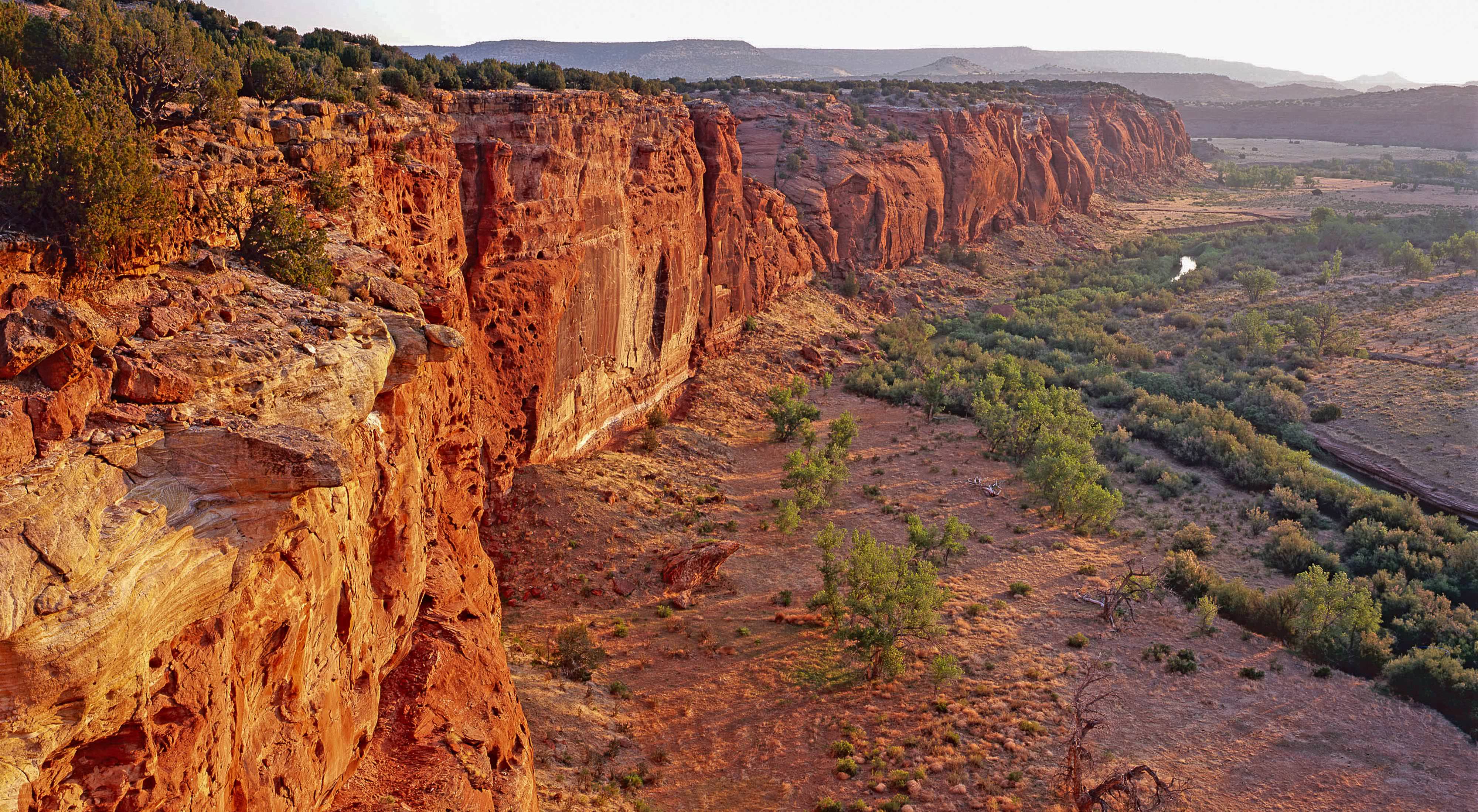 A landscape shot of a wall of red rocks with cactuses and grass growing on them; the rock wall extends to the distance.