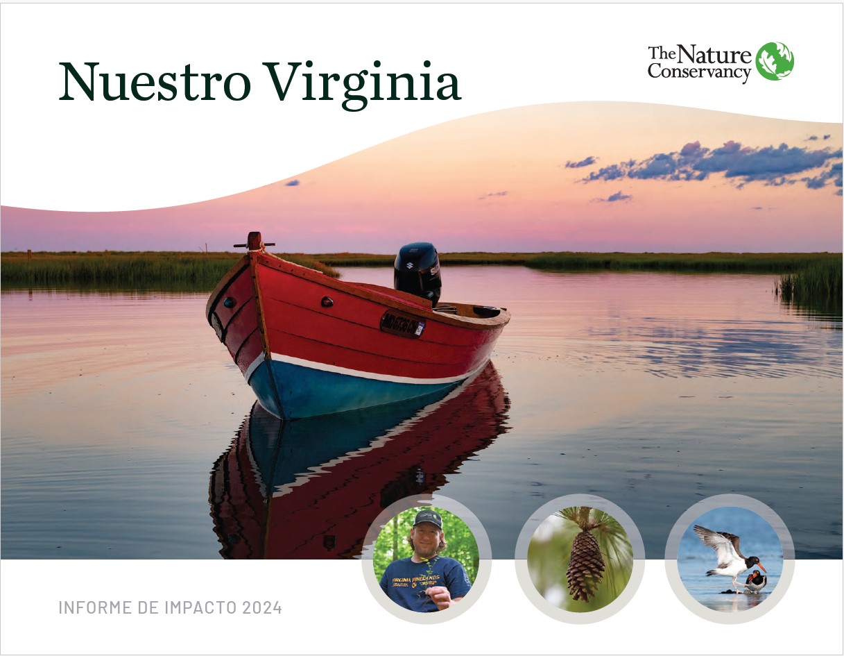 Cover of the 2024 Virginia Impact Report in Spanish.