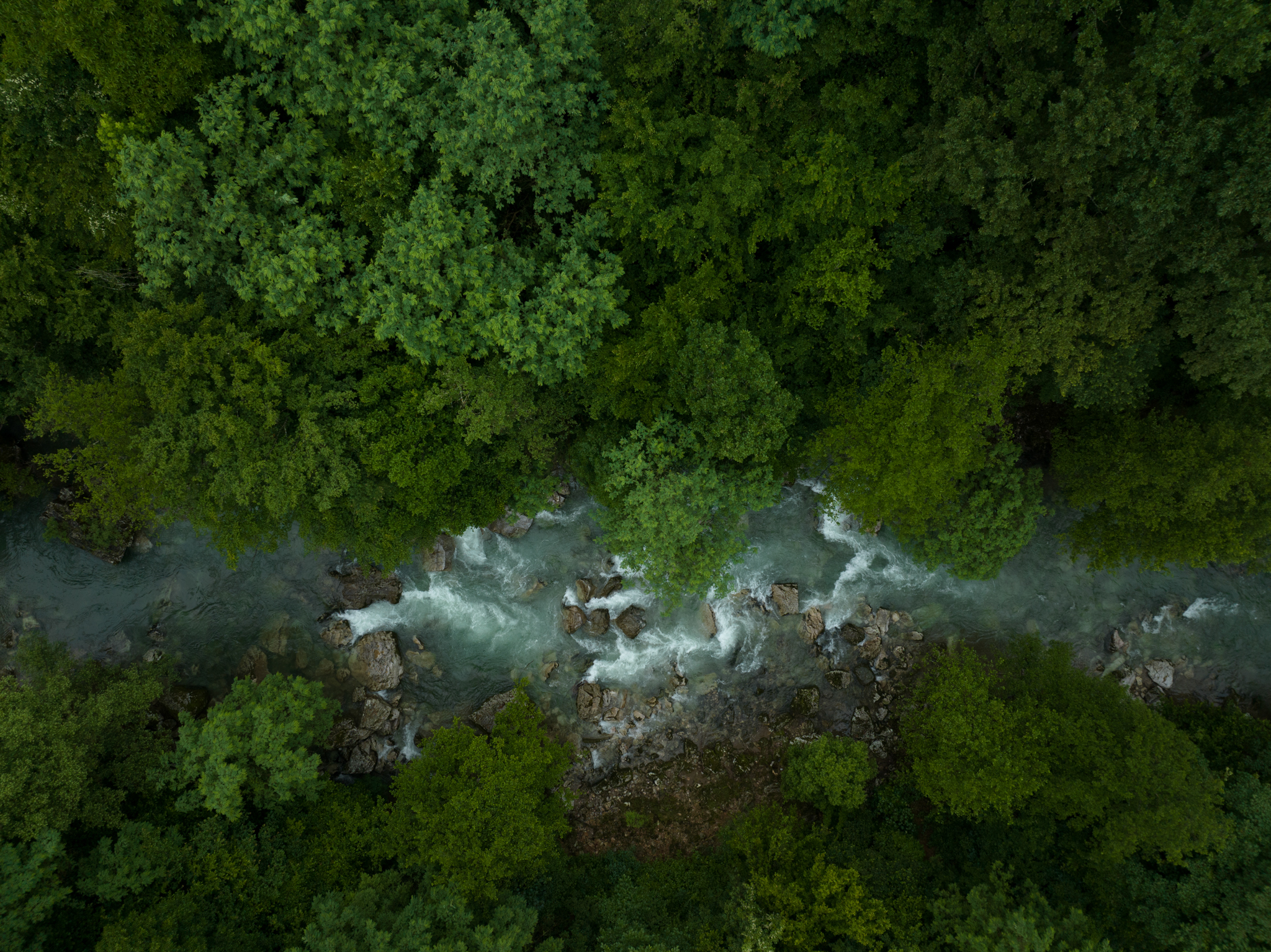 River running through rural area filled with trees.