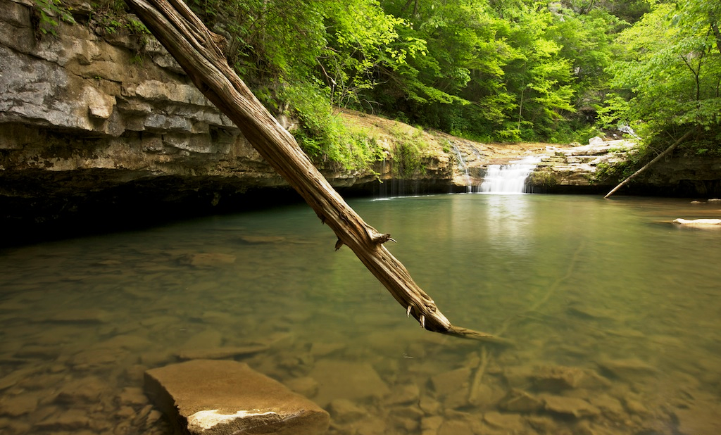 A large stick touches down into a creek.