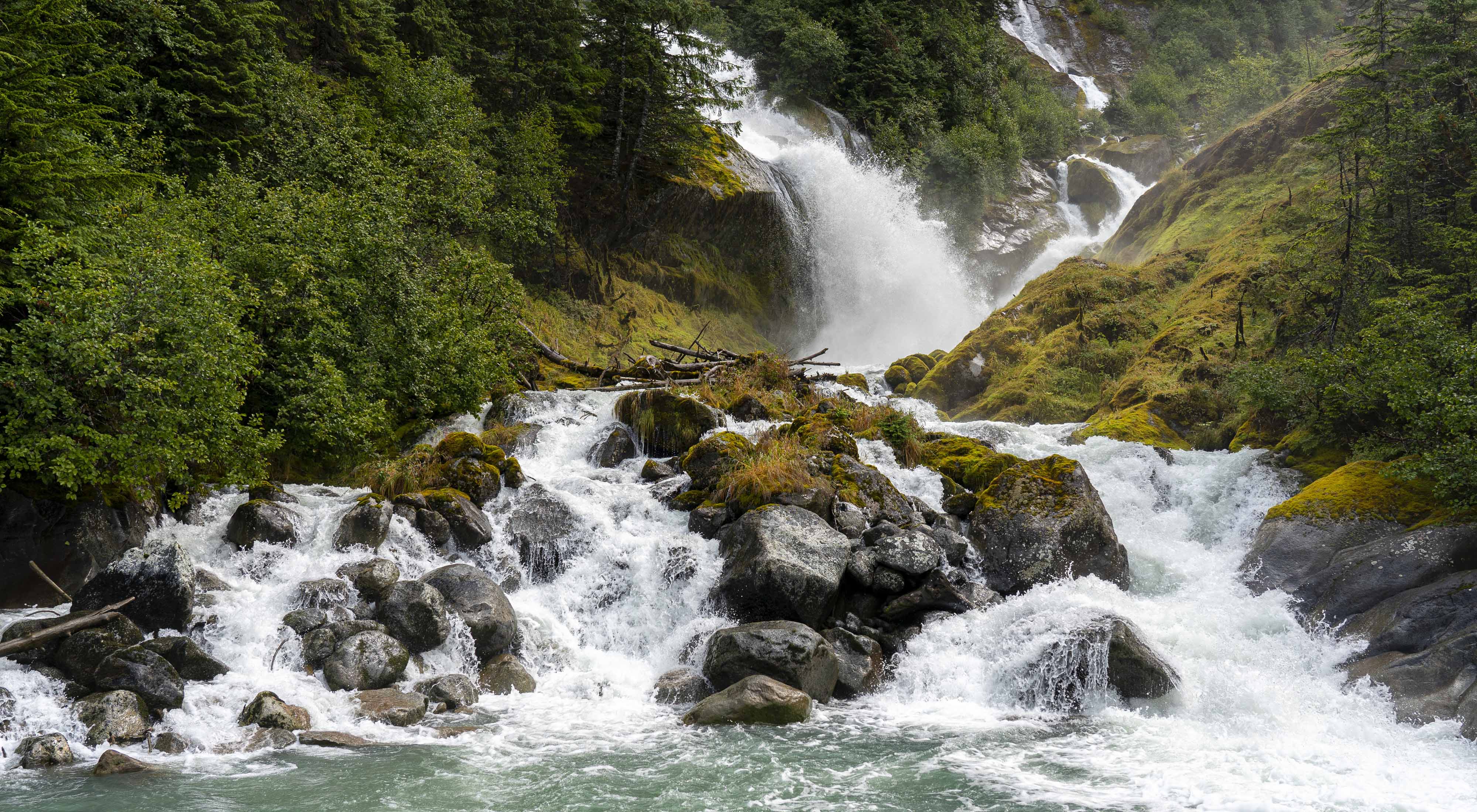 A waterfall flowing through a forest.