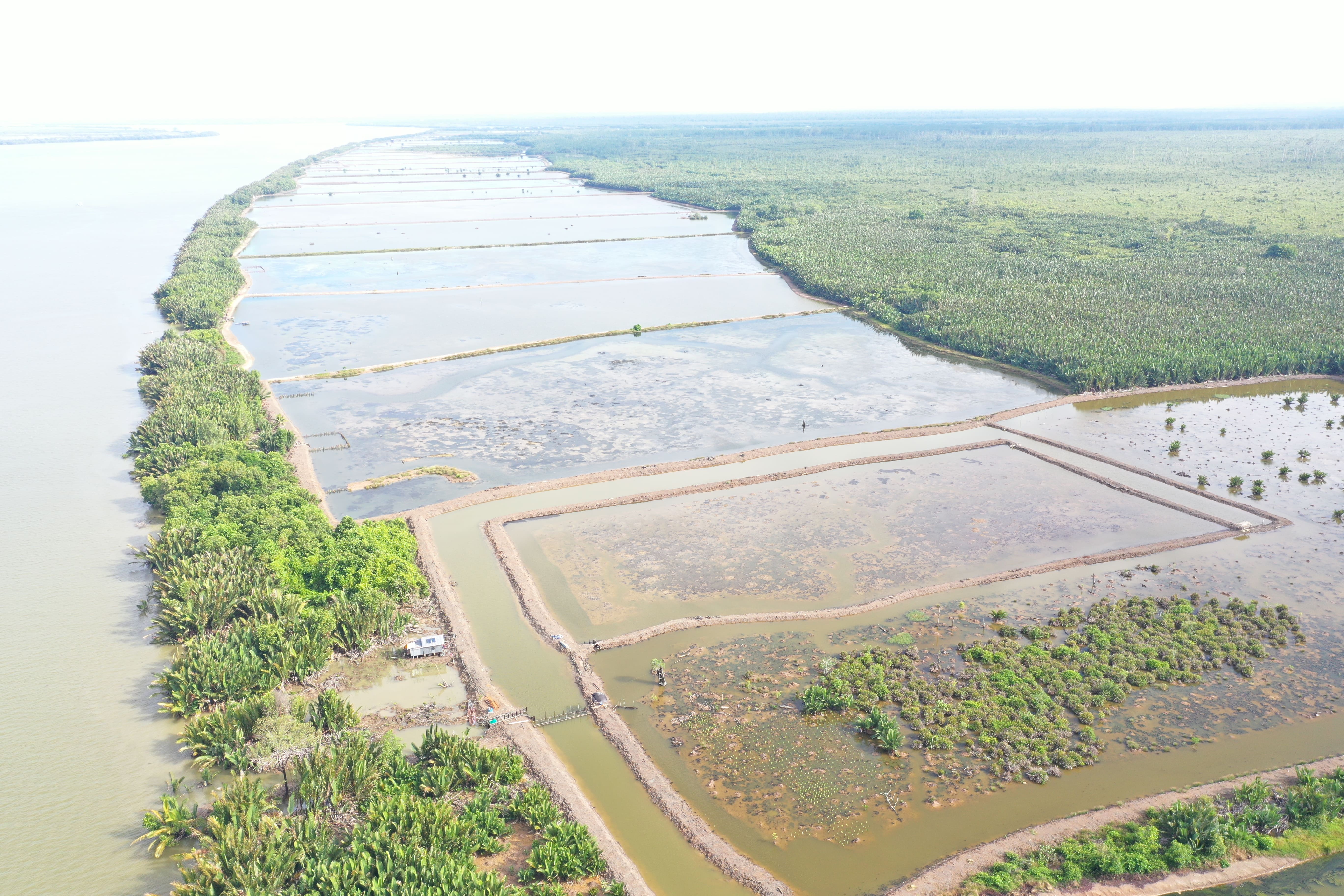 aerial photo of a shrimp farm.